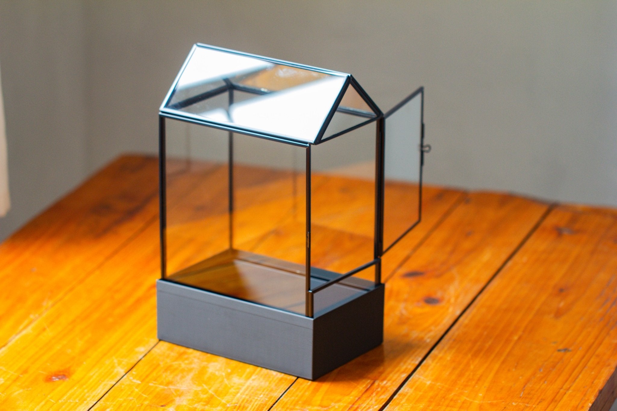 11“ Tall Glass Terrarium with Water - Holding Base and Side Door - NCYPgarden