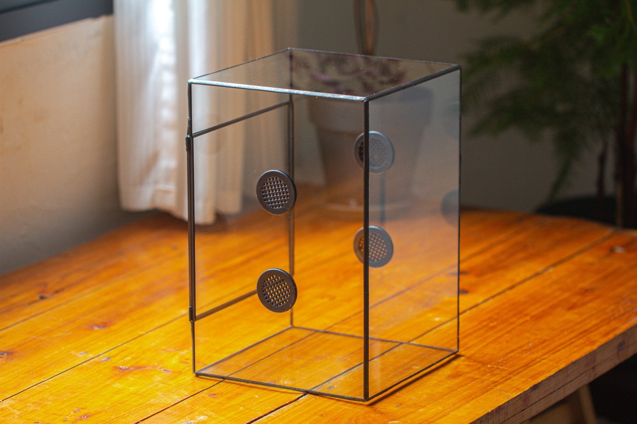 8x8x12" Tin and Glass Terrarium with 4 vents，Watertight - NCYPgarden