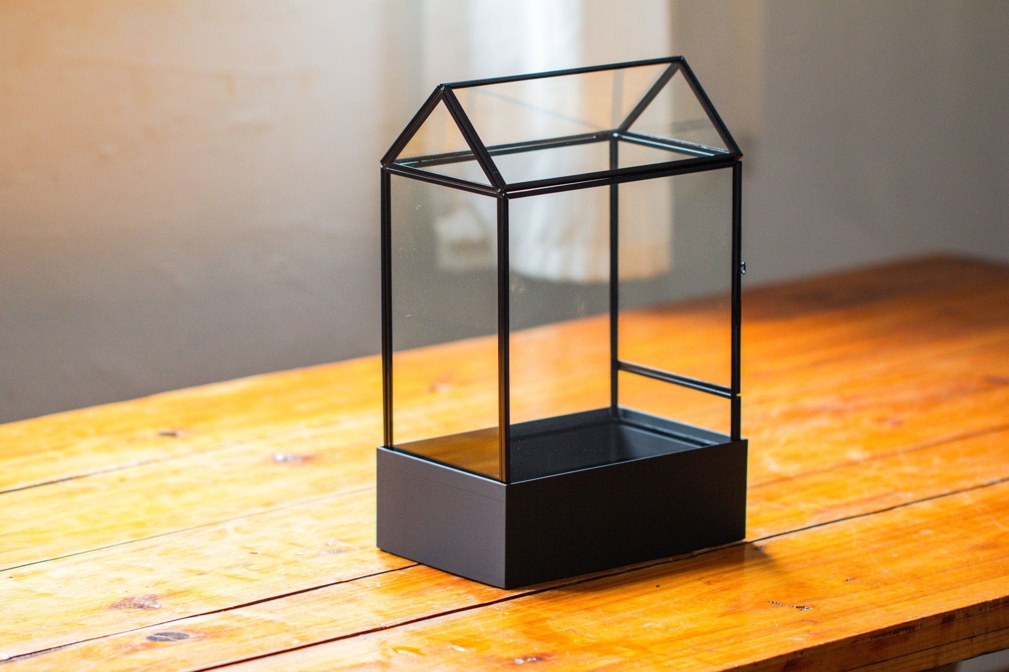 11“ Tall Glass Terrarium with Water - Holding Base and Side Door - NCYPgarden