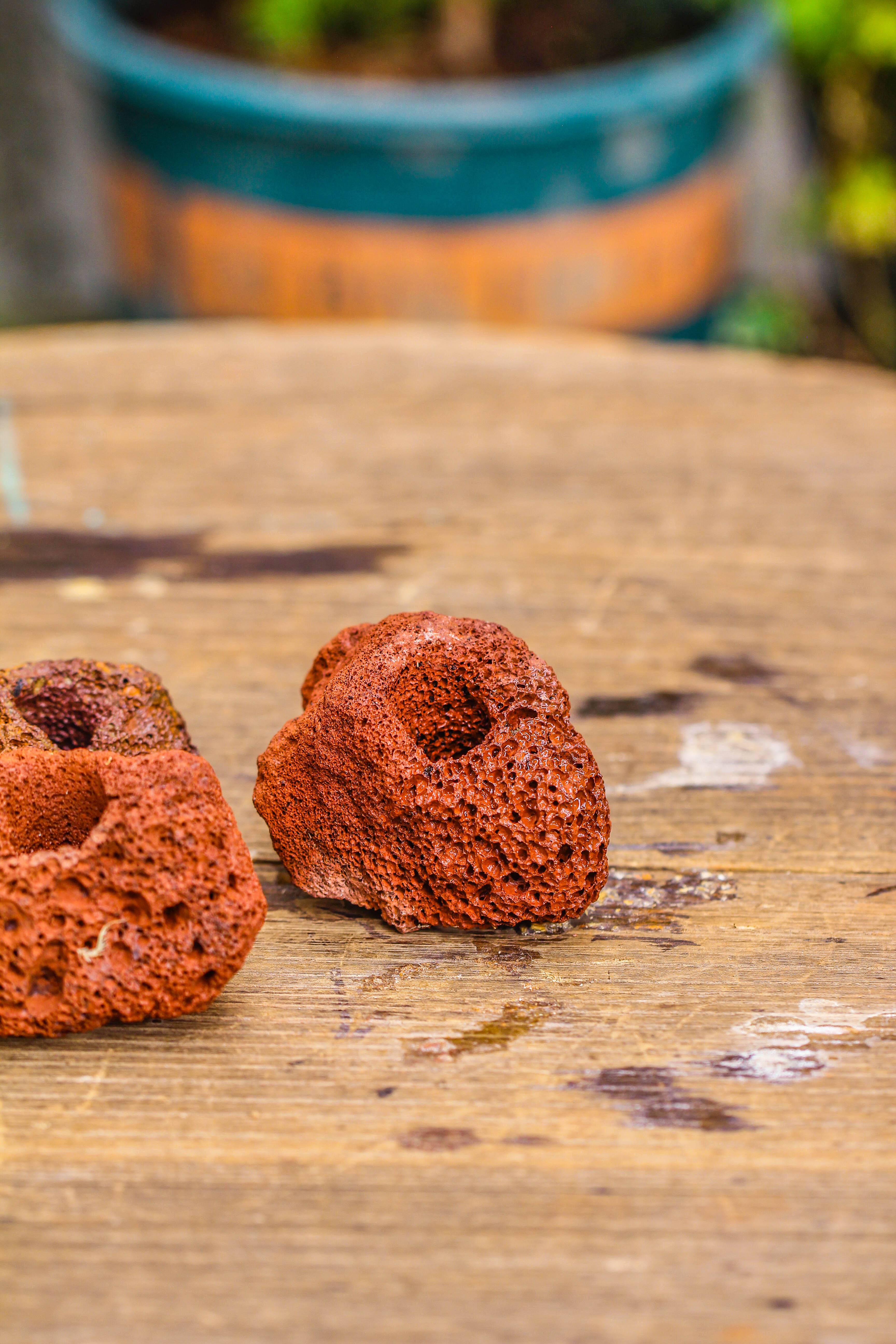 5-8cm Red Horticultural Lava Rock Volcanic Rock for Terrarium, Bonsai Landscape, 500g - NCYPgarden