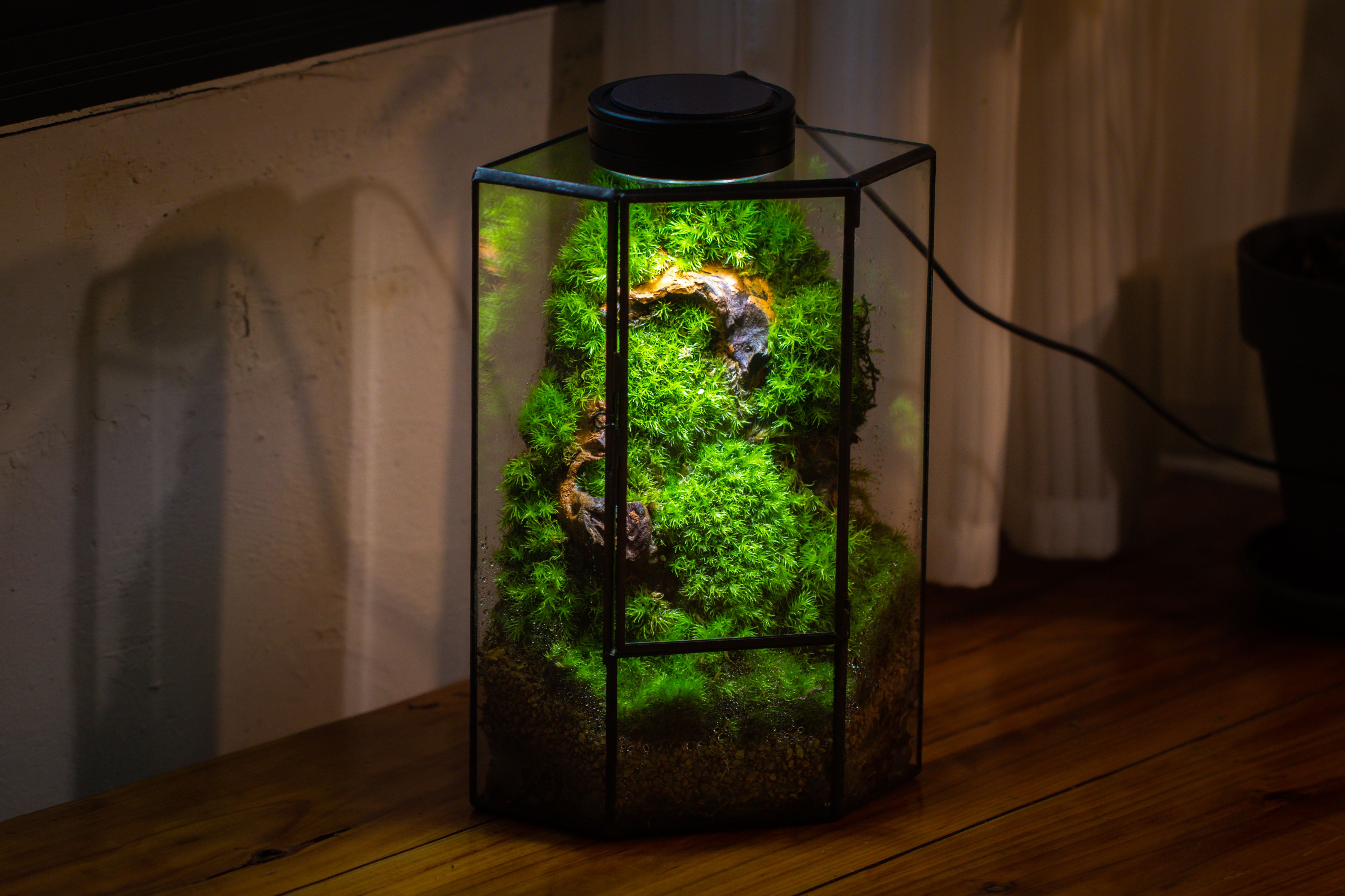 Small Version Handmade Glass Terrarium with Door for Plant, Moss Wall, Closed Geometric Tin Pentagon Planter - NCYPgarden