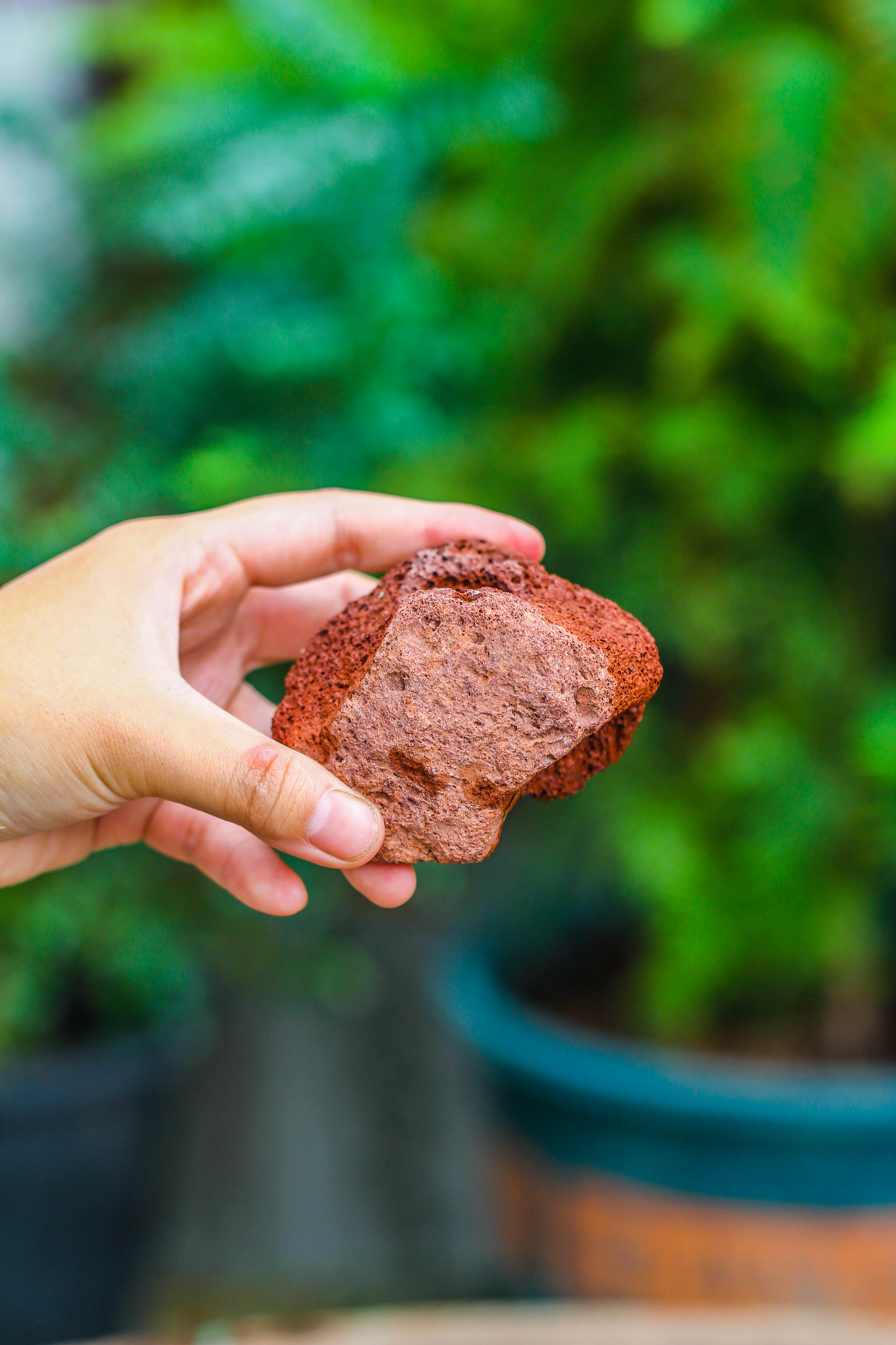 5-8cm Red Horticultural Lava Rock Volcanic Rock for Terrarium, Bonsai Landscape, 500g - NCYPgarden