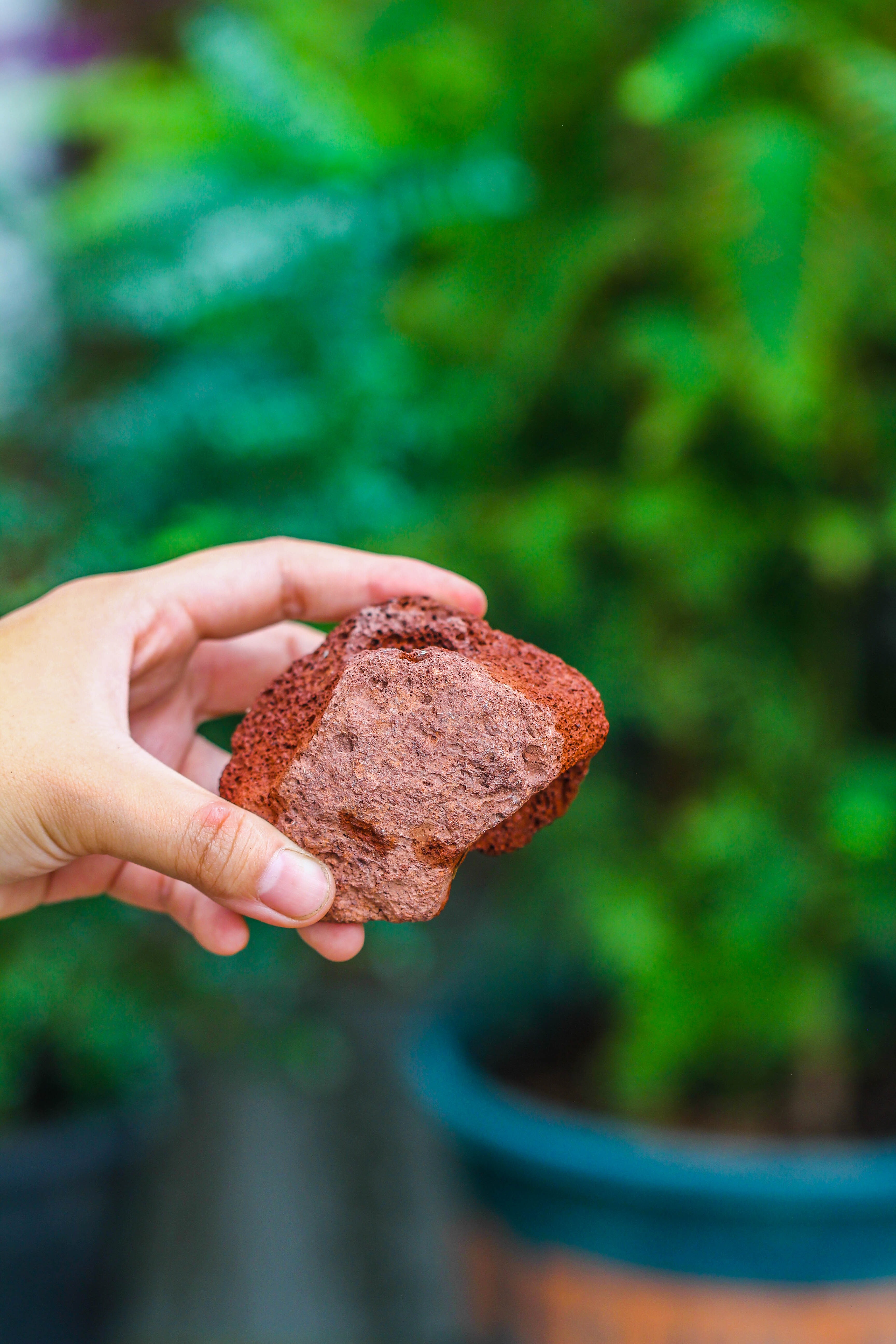 5-8cm Red Horticultural Lava Rock Volcanic Rock for Terrarium, Bonsai Landscape, 500g - NCYPgarden