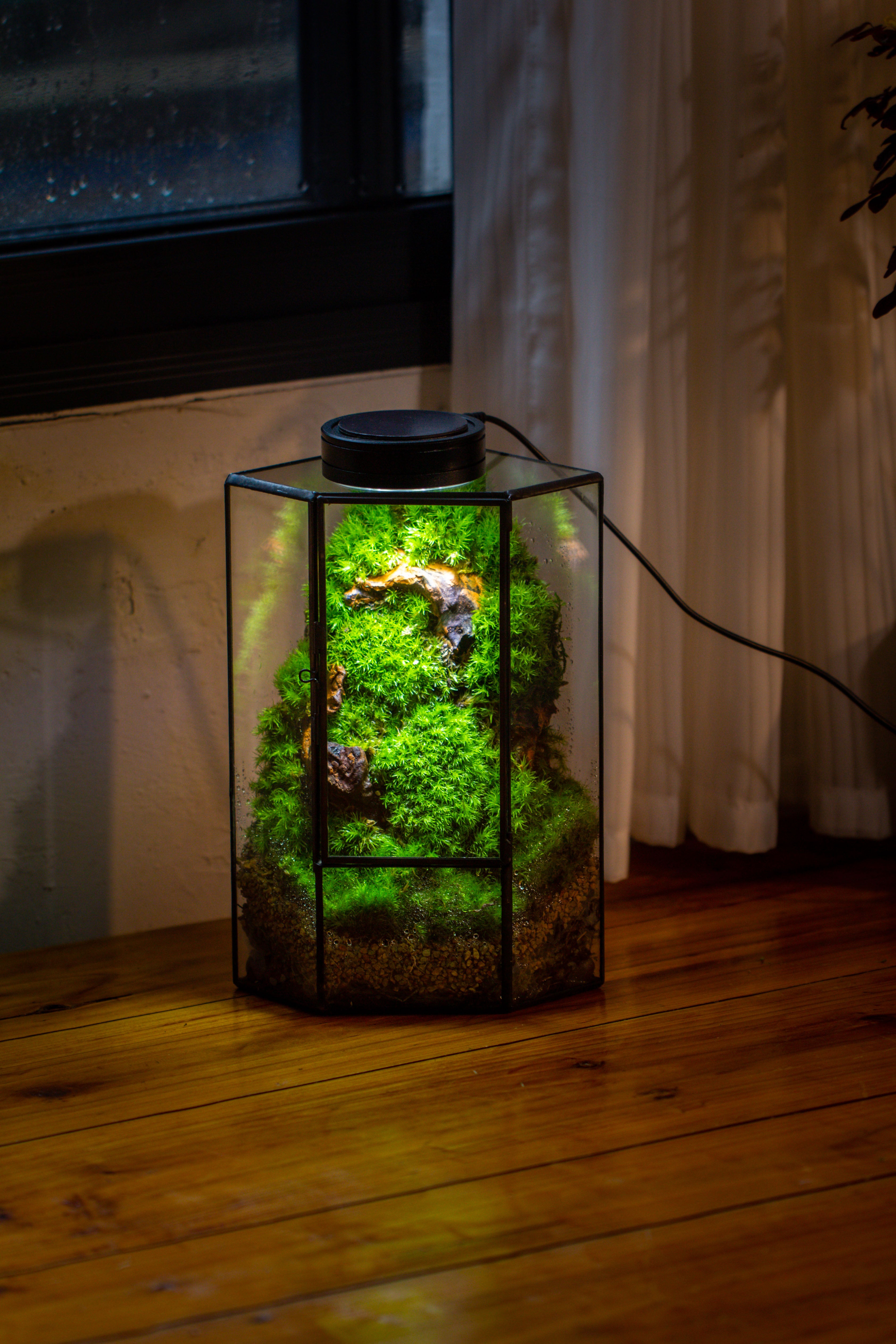 Small Version Handmade Glass Terrarium with Door for Plant, Moss Wall, Closed Geometric Tin Pentagon Planter - NCYPgarden