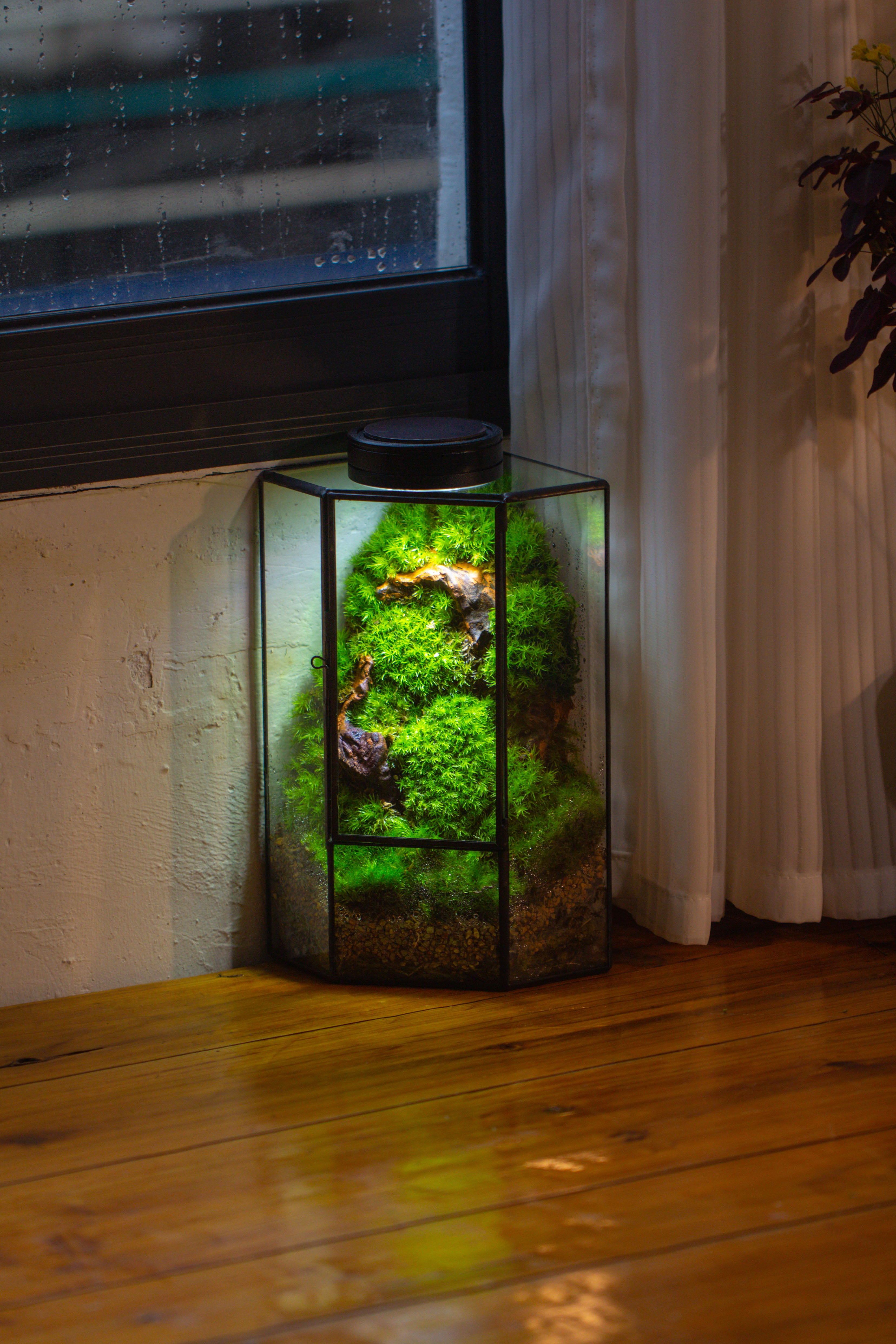 Small Version Handmade Glass Terrarium with Door for Plant, Moss Wall, Closed Geometric Tin Pentagon Planter - NCYPgarden