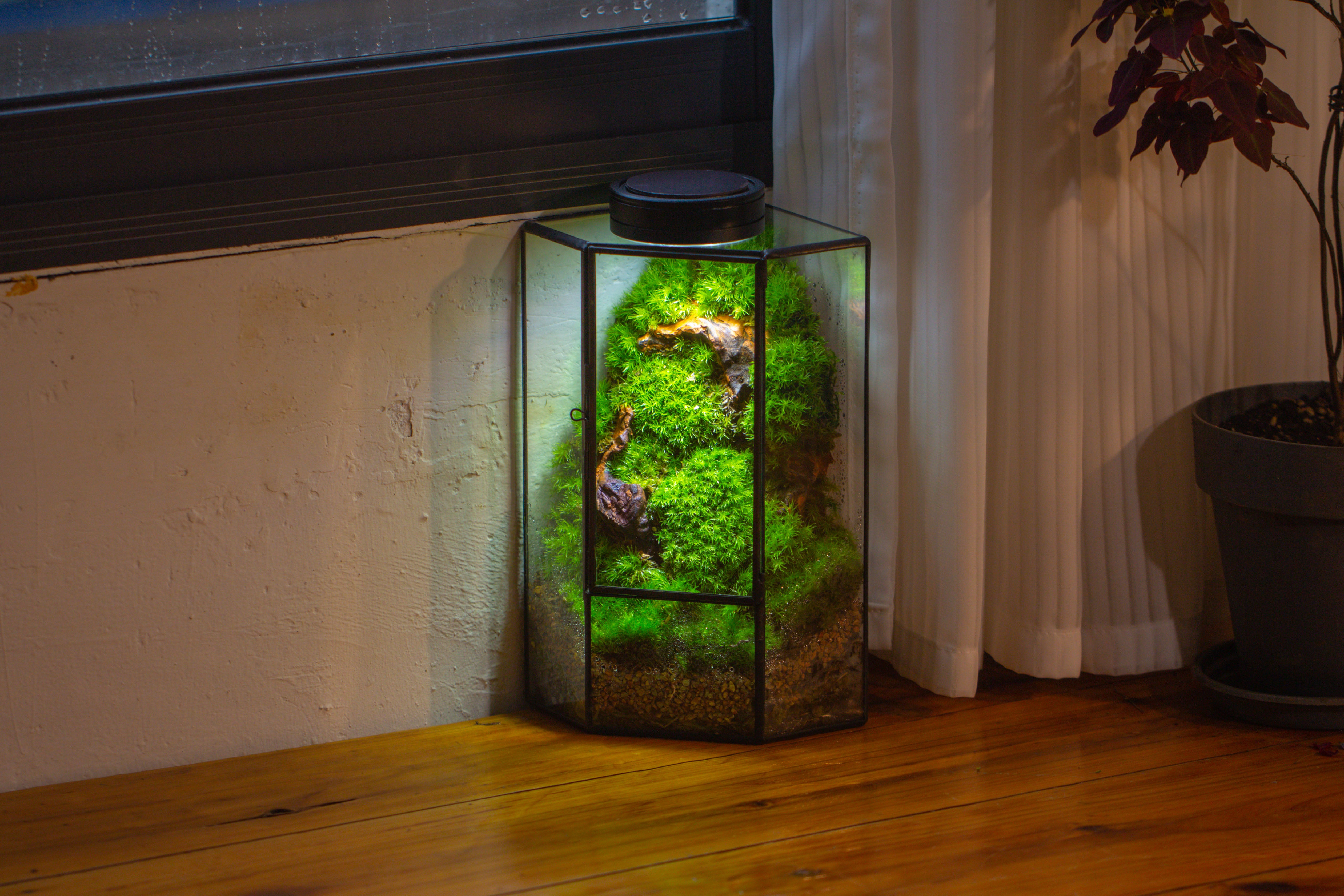 Small Version Handmade Glass Terrarium with Door for Plant, Moss Wall, Closed Geometric Tin Pentagon Planter - NCYPgarden