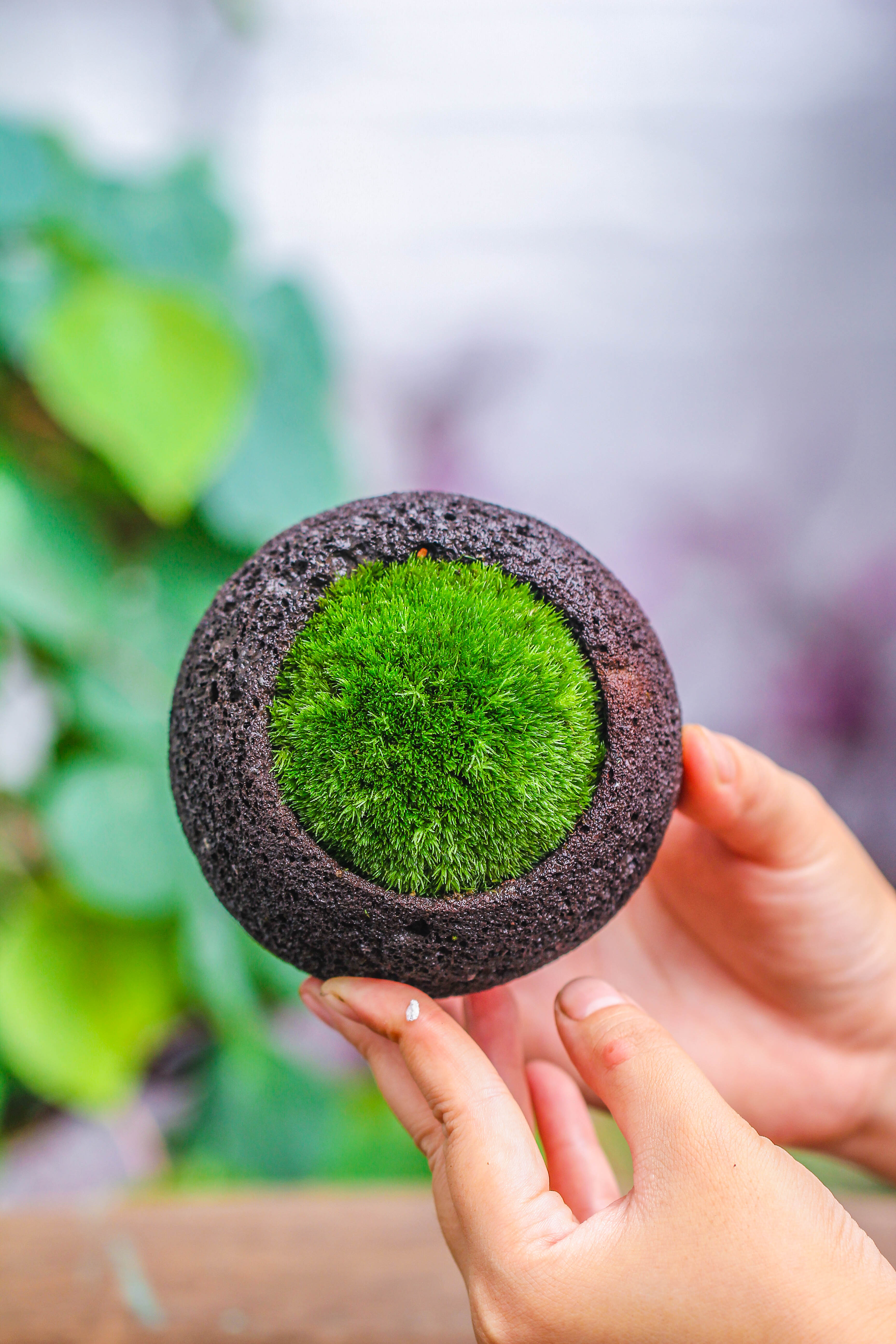 8cm / 3.1" Round Red Horticultural Lava Rock Volcanic Rock Planter for succulents, moss, tropical palants, terrariums - NCYPgarden