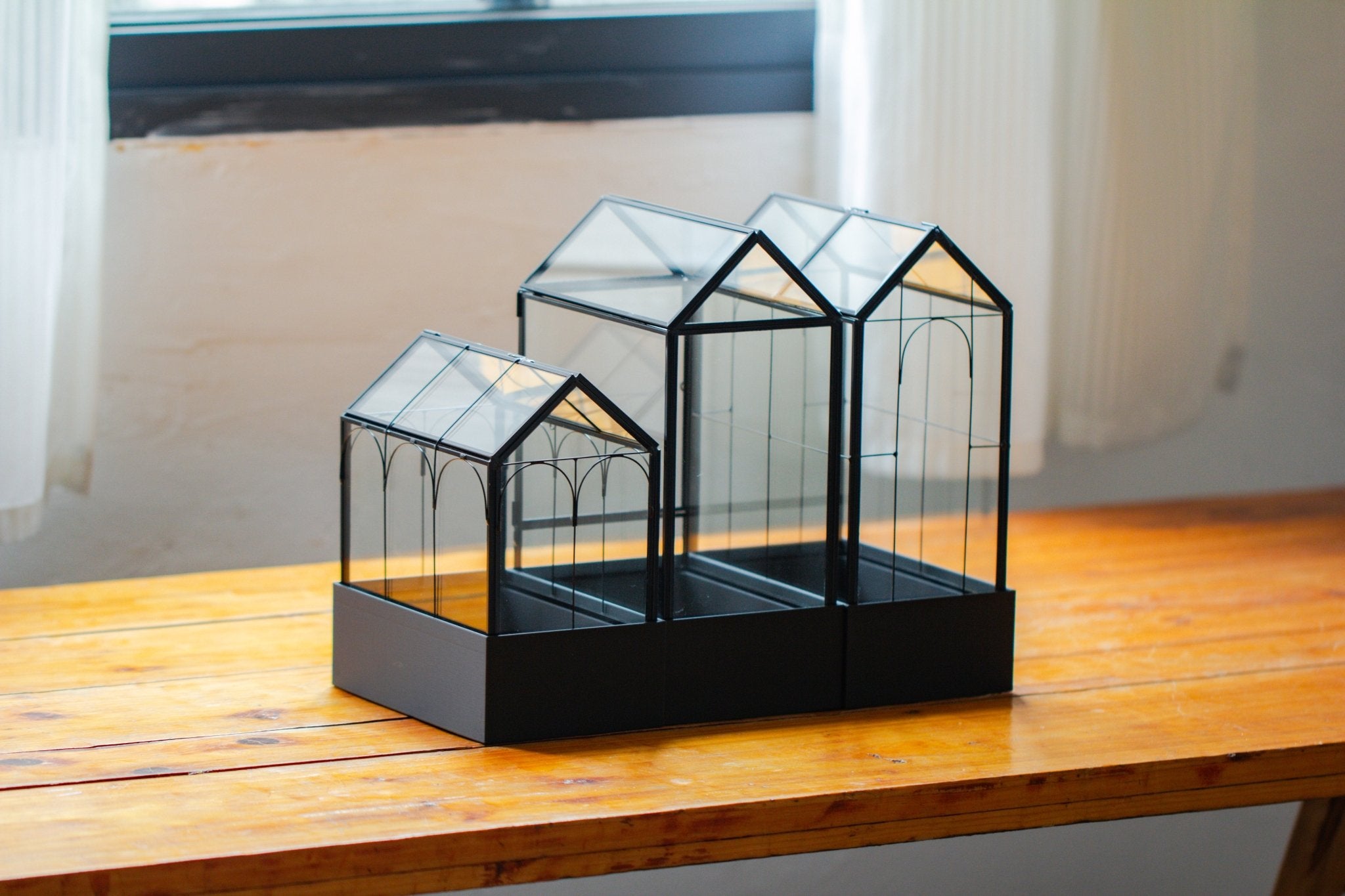 11“ Tall Glass Terrarium with Water - Holding Base and Side Door - NCYPgarden