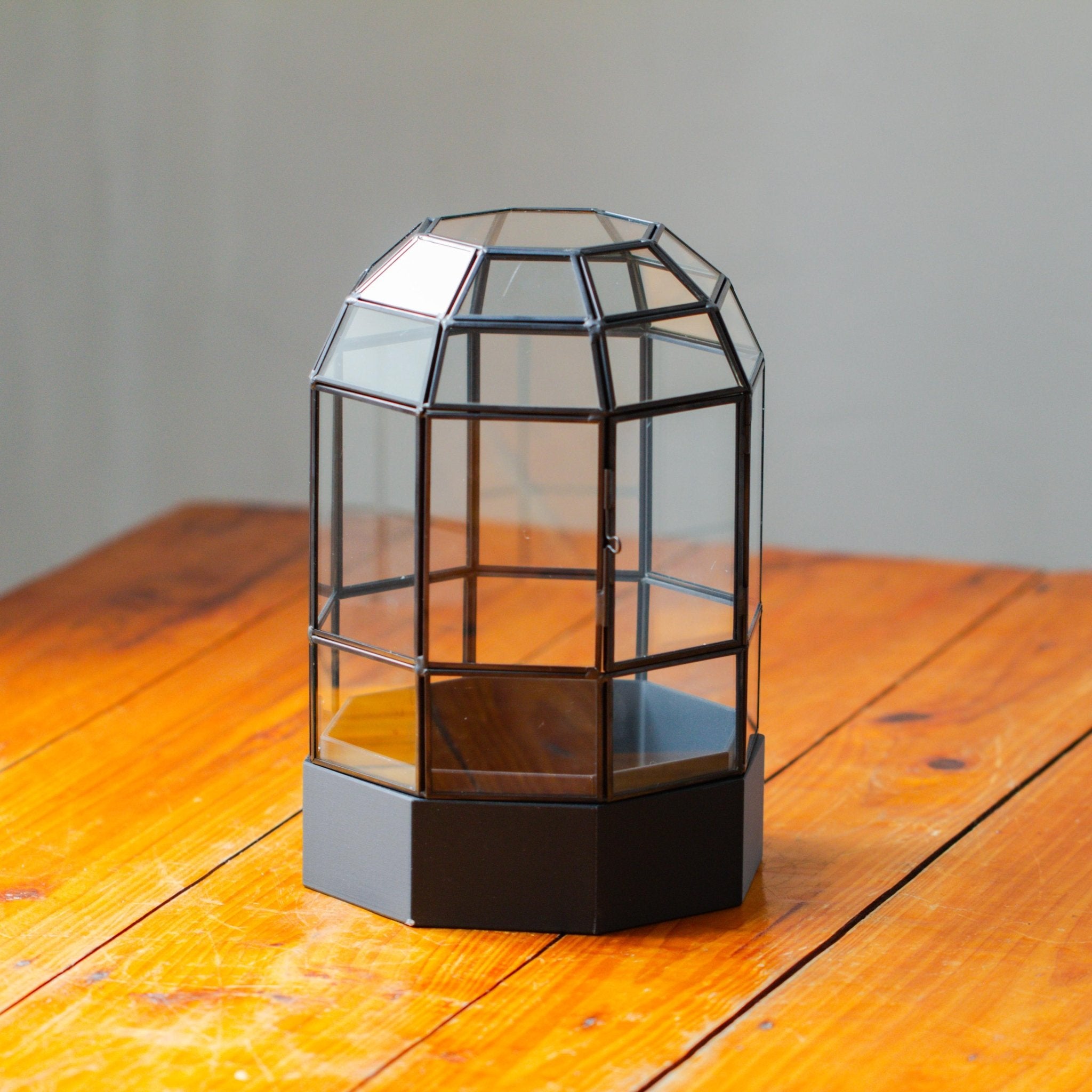 10" Tall Dome Glass Terrarium with Water - Holding Base and Door - NCYPgarden