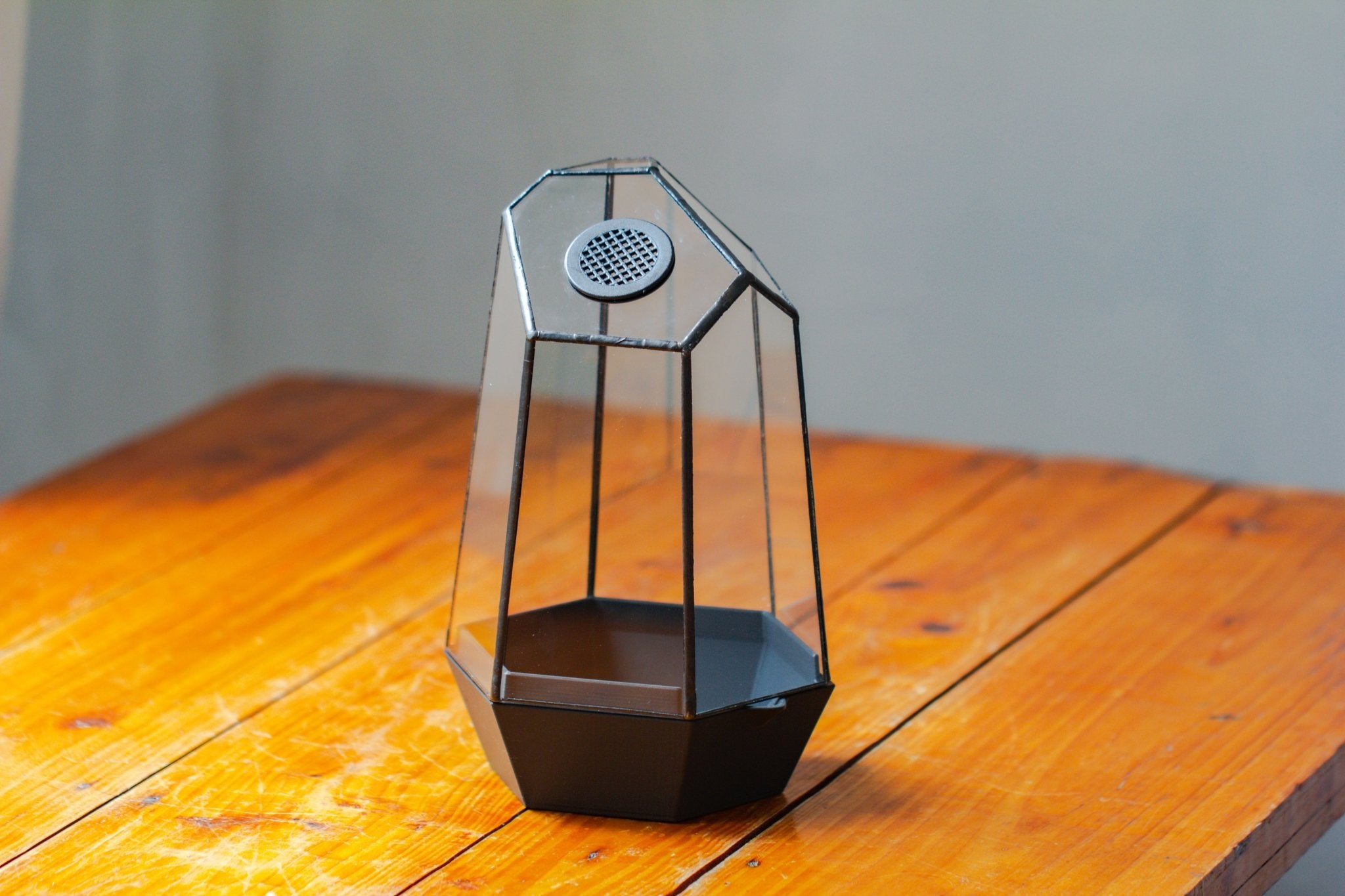 Self - Contained Close Geometric GlassTerrarium with top vent with Waterproof Base, for Moss, Sundew and Venus Flytrap - NCYPgarden