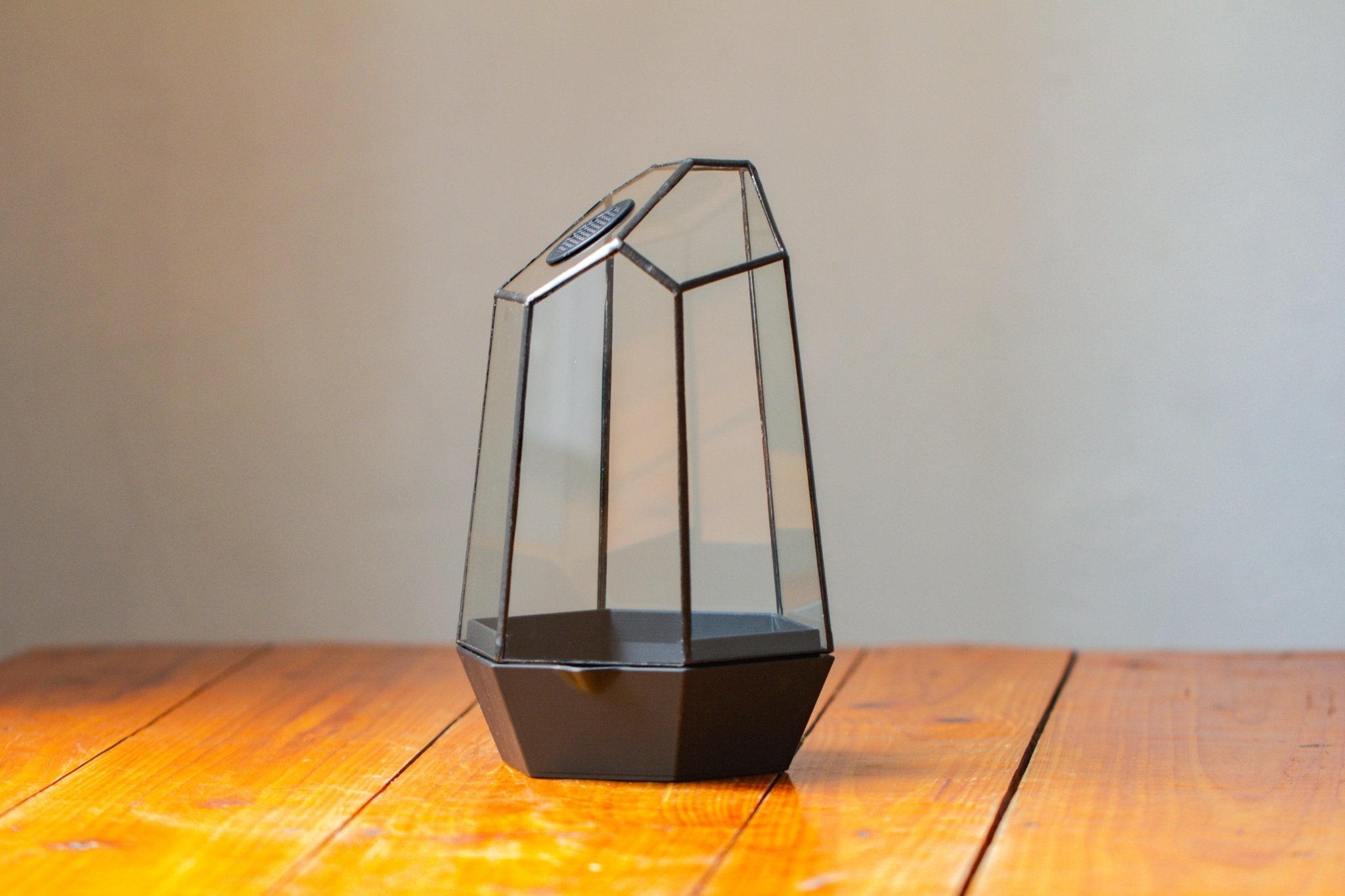 Self - Contained Close Geometric GlassTerrarium with top vent with Waterproof Base, for Moss, Sundew and Venus Flytrap - NCYPgarden
