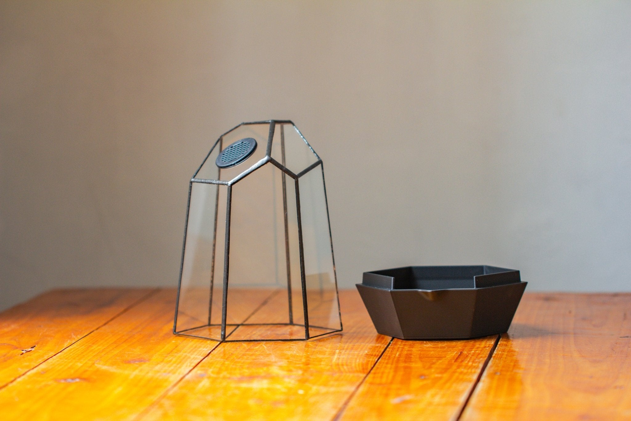 Self - Contained Close Geometric GlassTerrarium with top vent with Waterproof Base, for Moss, Sundew and Venus Flytrap - NCYPgarden