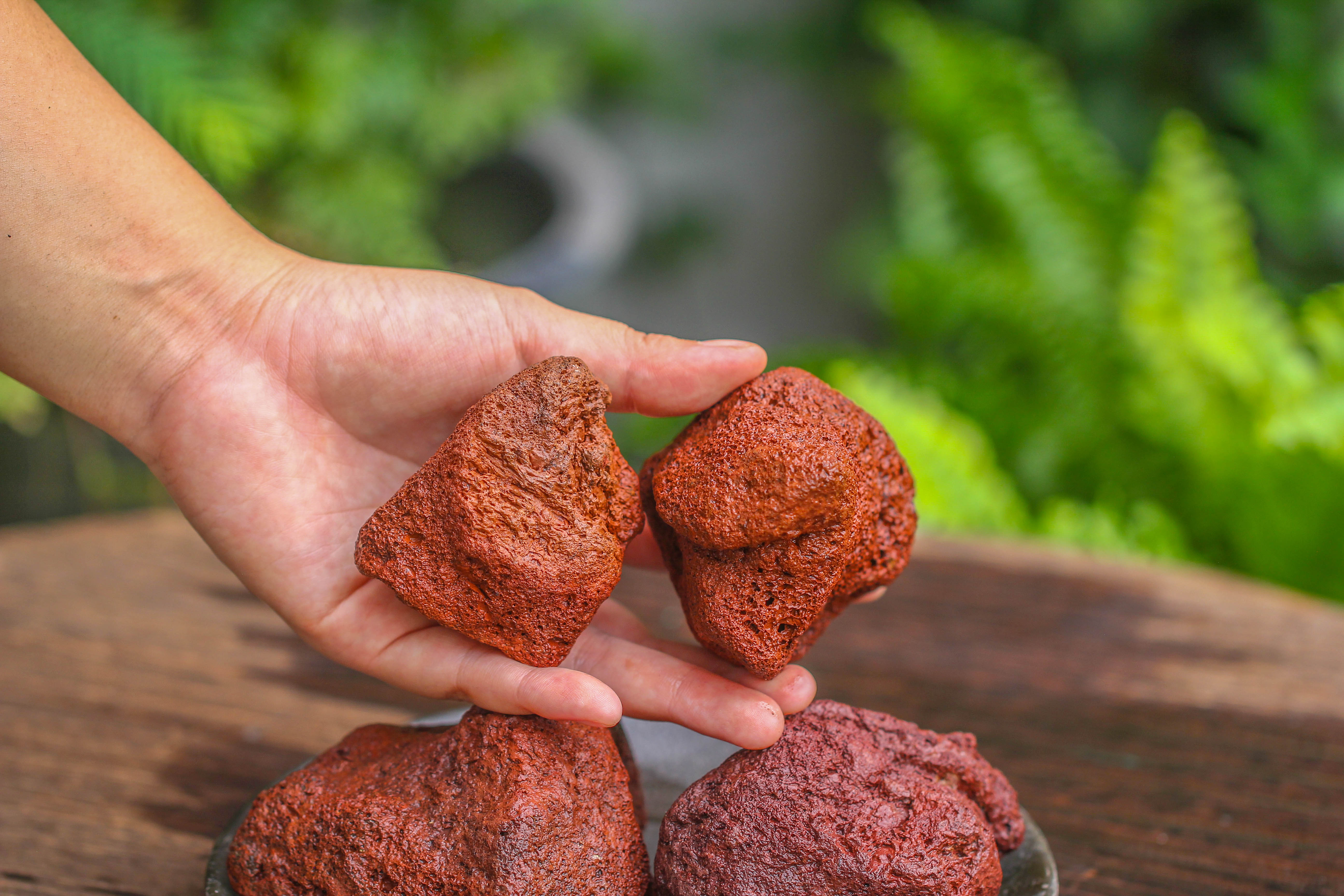 5-8cm Red Horticultural Lava Rock Volcanic Rock for Terrarium, Bonsai Landscape, 500g - NCYPgarden