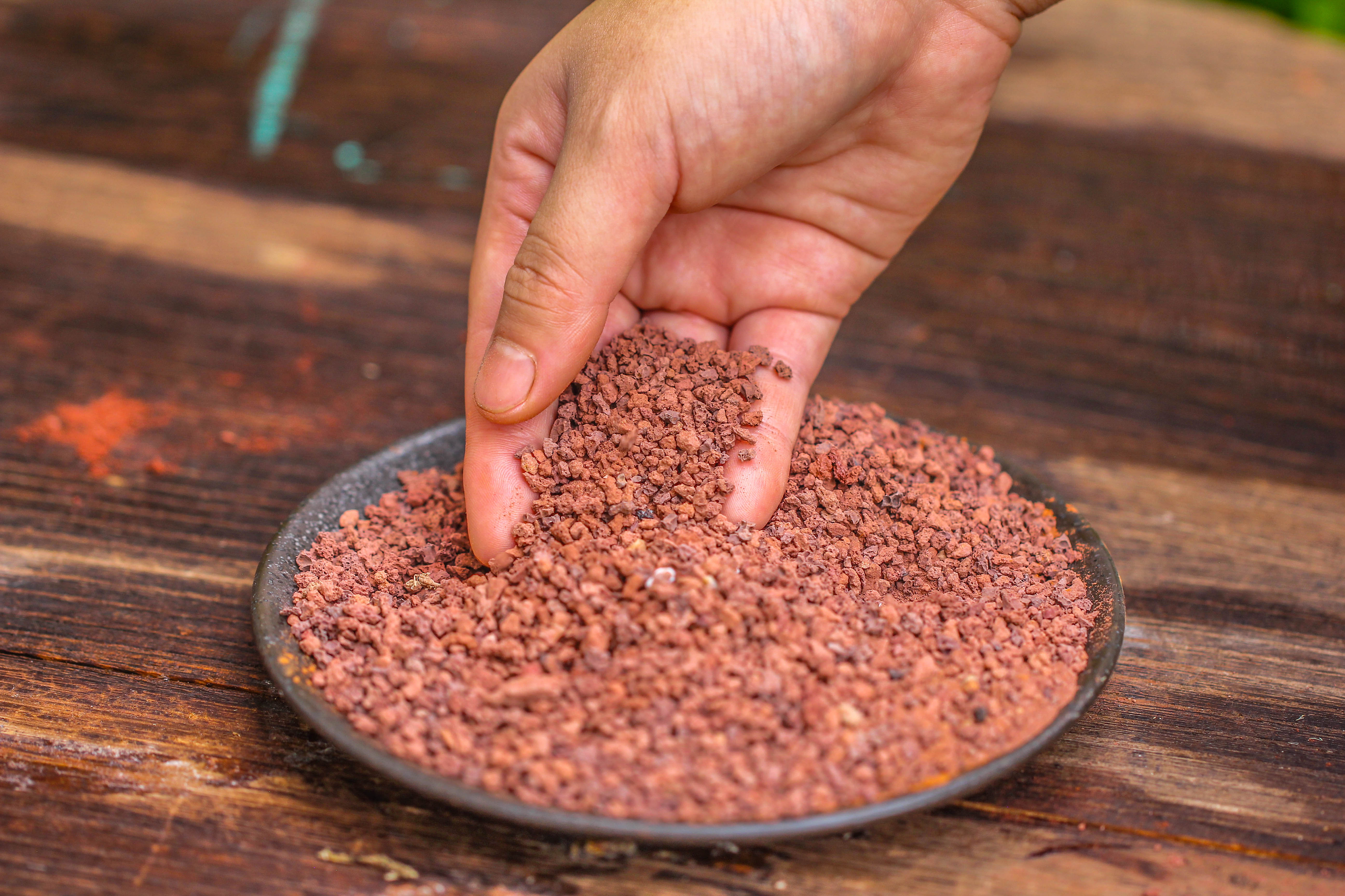 Red Horticultural Lava Rock Volcanic Rock Soil for Cacti Succulents Potted Plants Bonsai - NCYPgarden