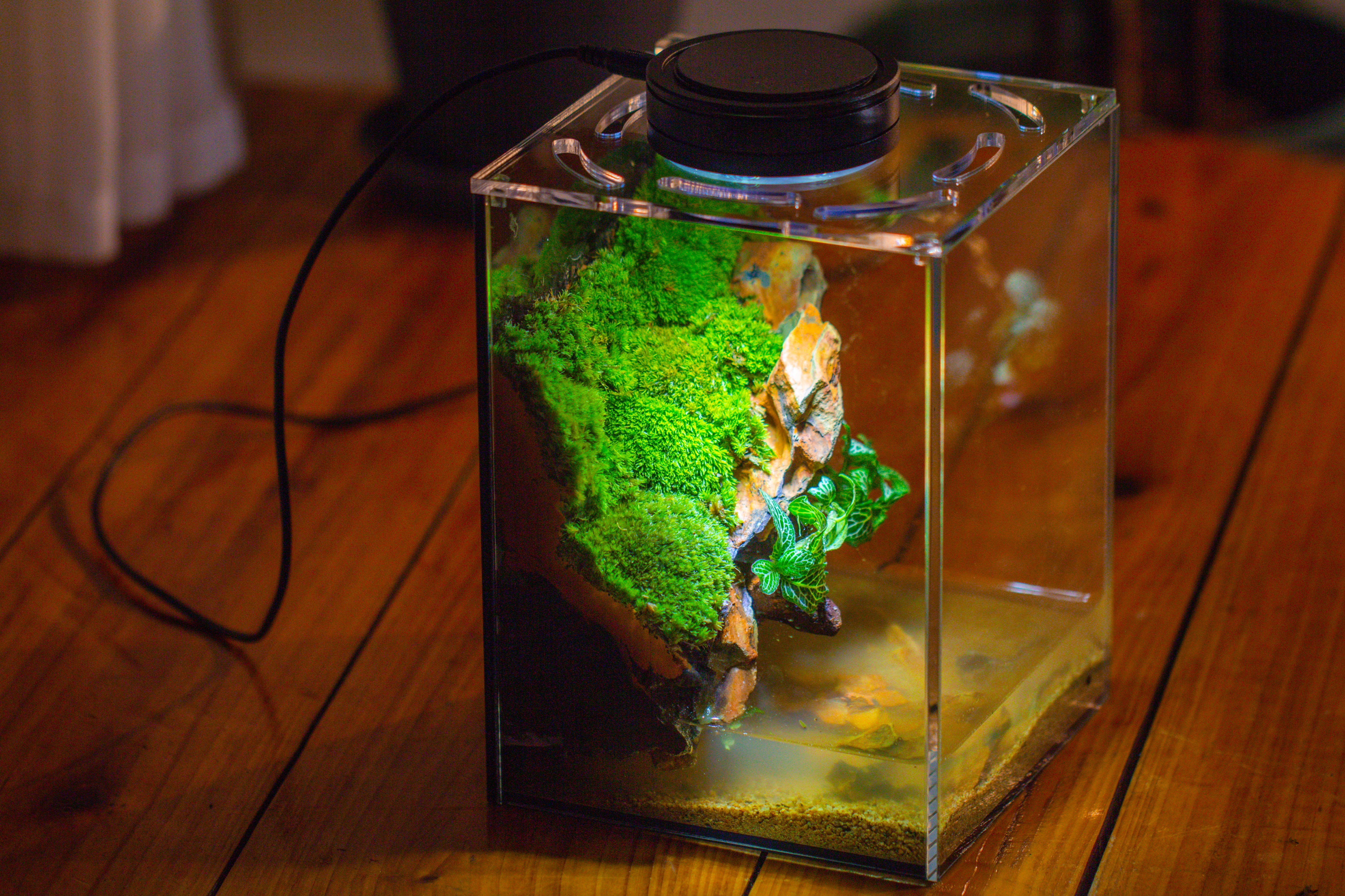 Watertight Glass Terrarium with LED Grow Light, Acrylic Lid for Moss Wall, vertical planting -15x15x20cm / 5.9x5.9x7.8 - NCYPgarden