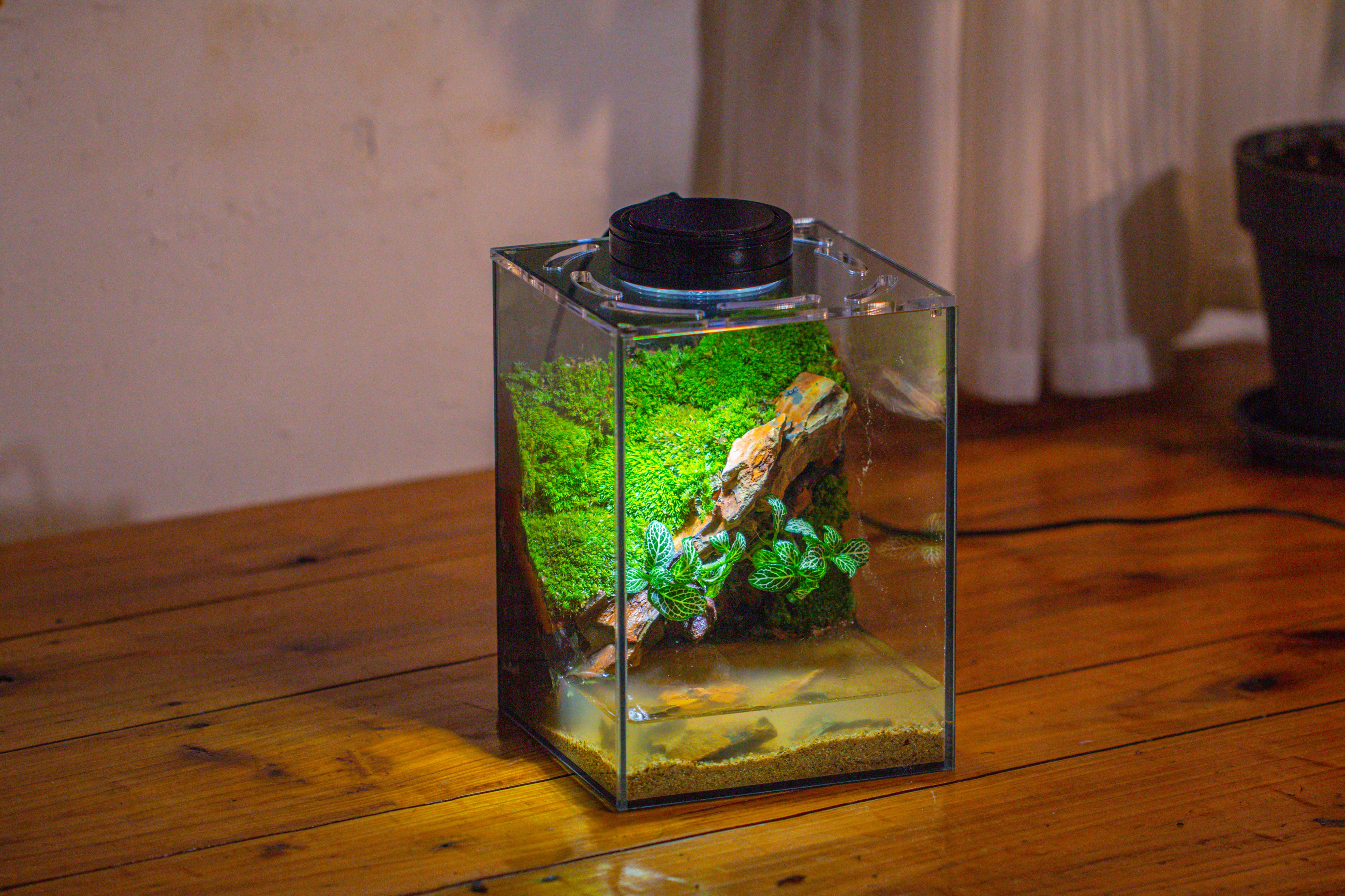 Watertight Glass Terrarium with LED Grow Light, Acrylic Lid for Moss Wall, vertical planting -15x15x20cm / 5.9x5.9x7.8 - NCYPgarden