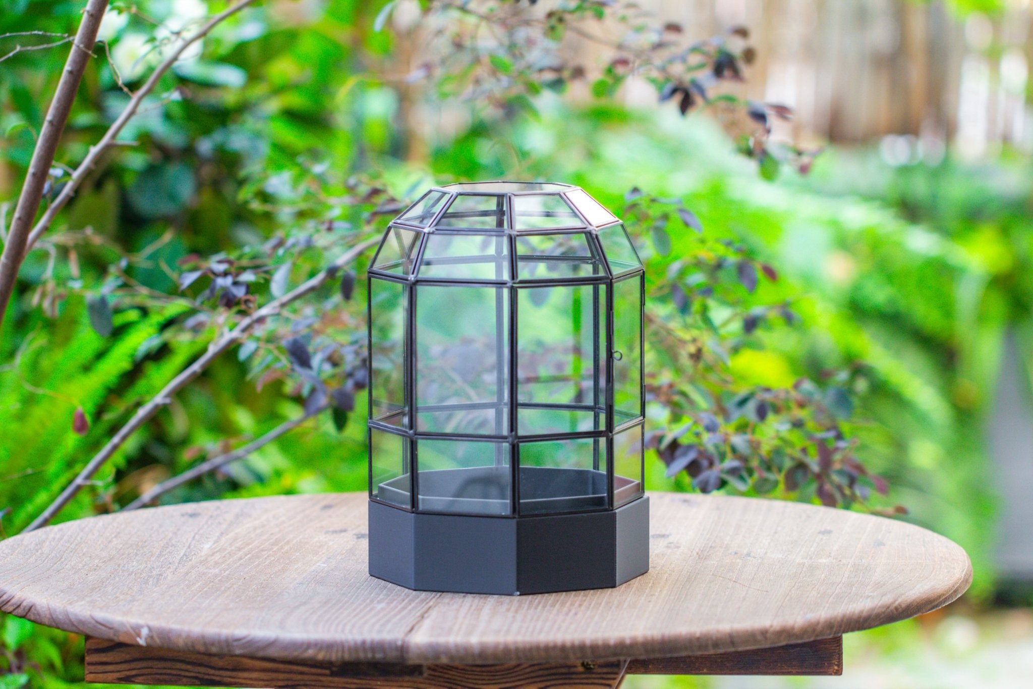 10" Tall Dome Glass Terrarium with Water - Holding Base and Door - NCYPgarden