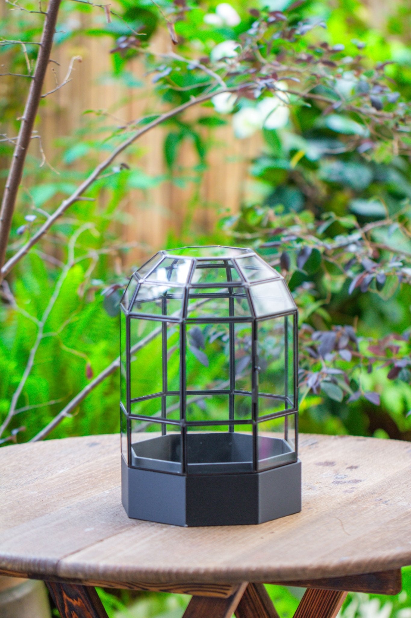 10" Tall Dome Glass Terrarium with Water - Holding Base and Door - NCYPgarden