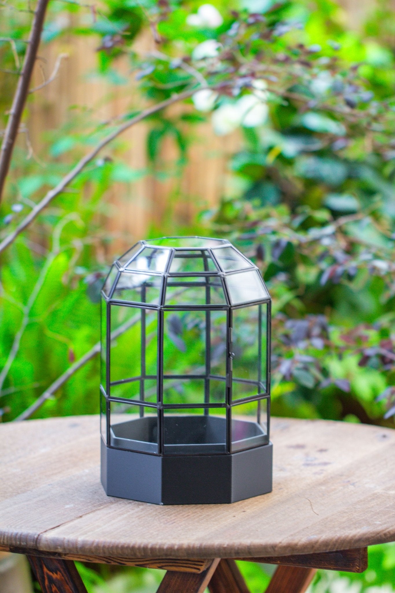 10" Tall Dome Glass Terrarium with Water - Holding Base and Door - NCYPgarden