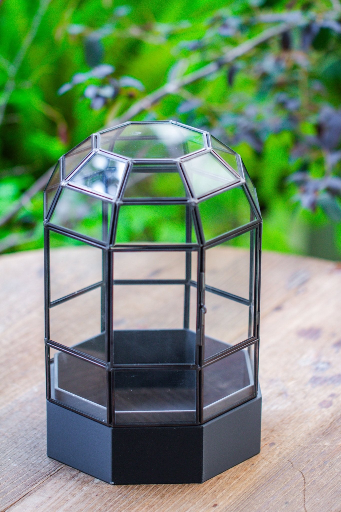 10" Tall Dome Glass Terrarium with Water - Holding Base and Door - NCYPgarden