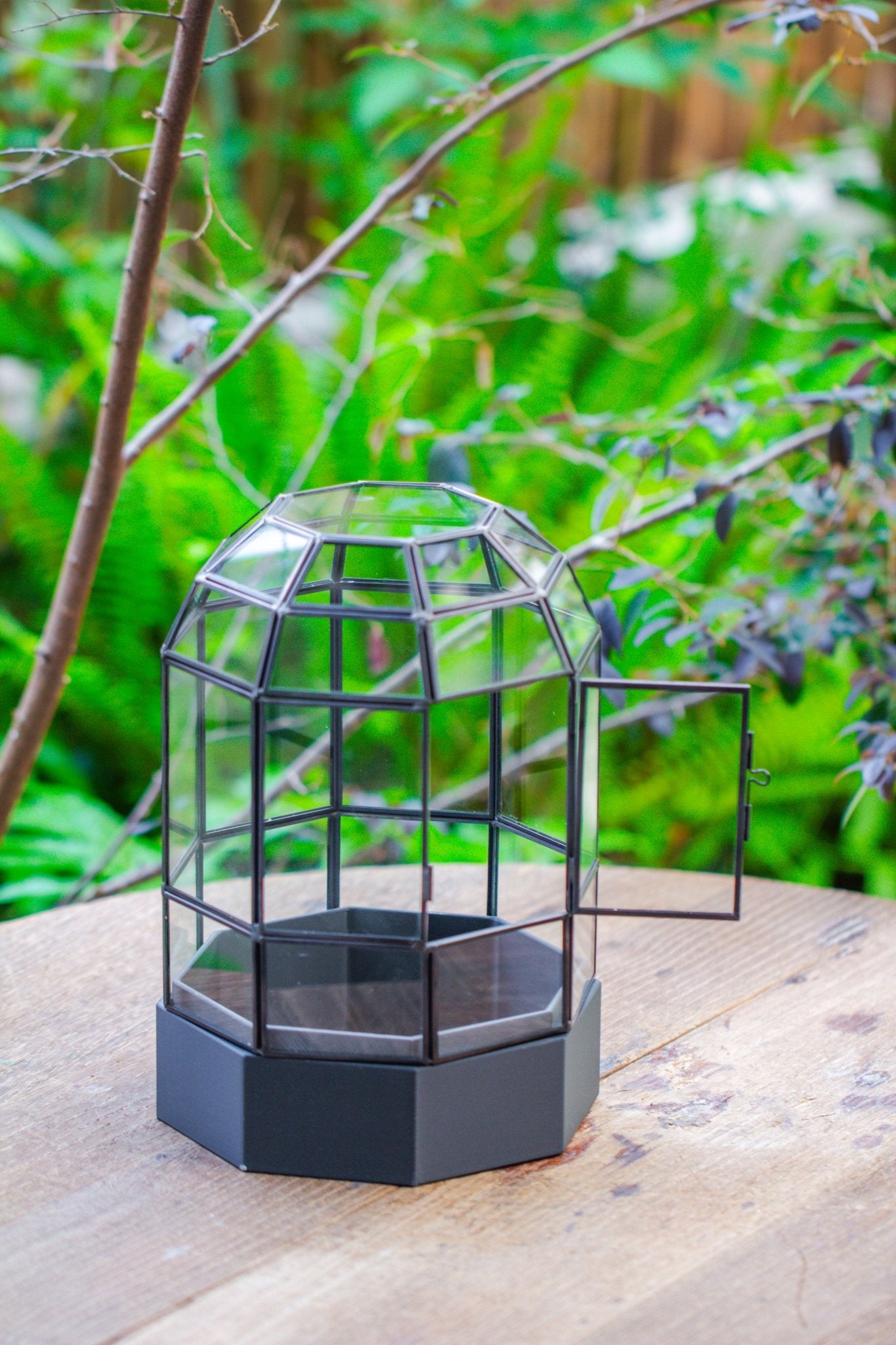 10" Tall Dome Glass Terrarium with Water - Holding Base and Door - NCYPgarden