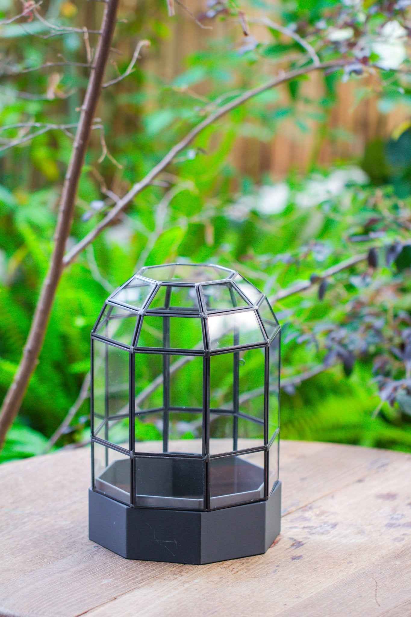 10" Tall Dome Glass Terrarium with Water - Holding Base and Door - NCYPgarden
