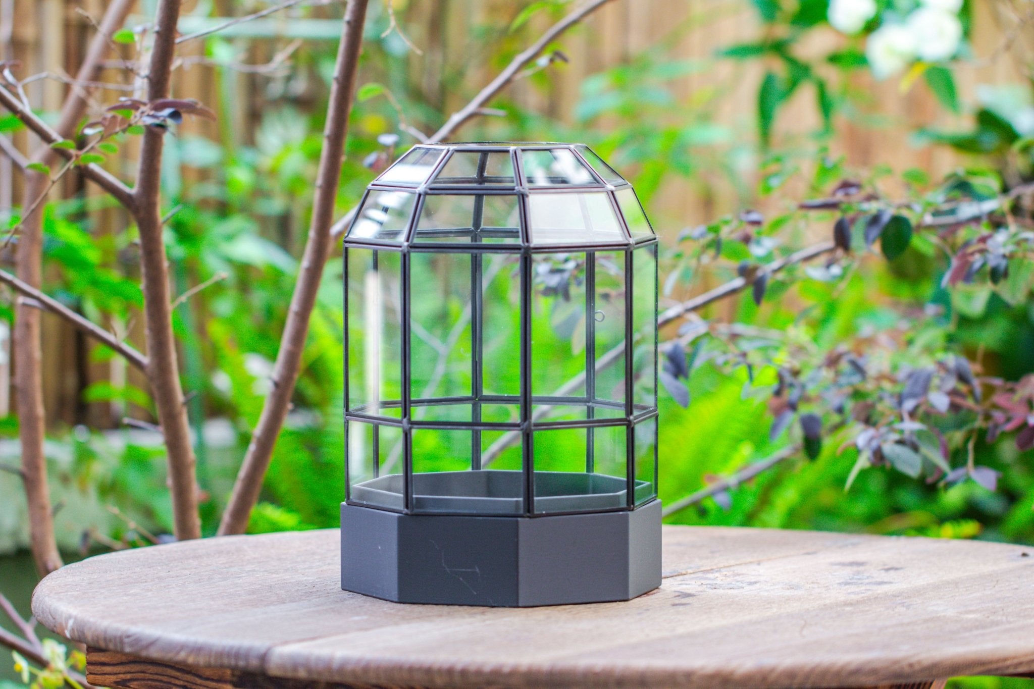 10" Tall Dome Glass Terrarium with Water - Holding Base and Door - NCYPgarden