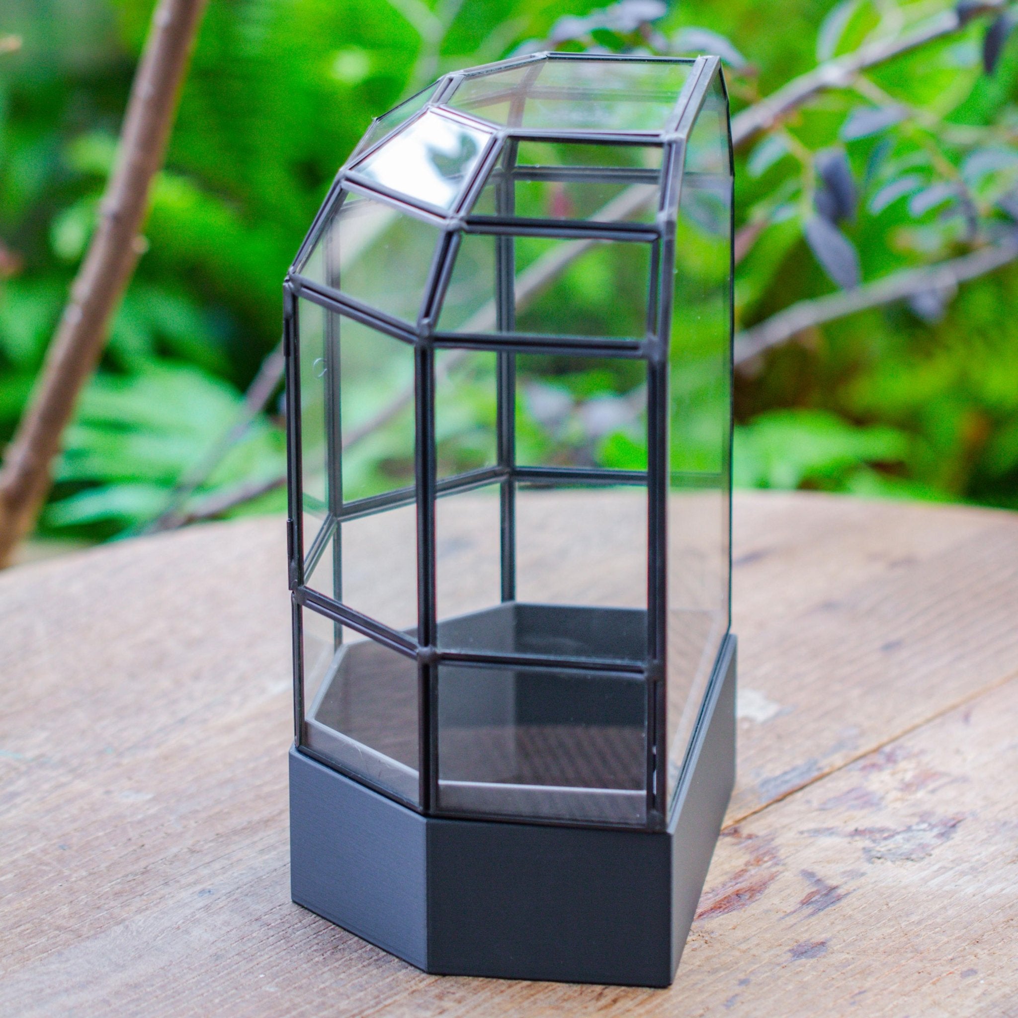 10" Tall Half Dome Glass Terrarium with Water - Holding Base and Door - NCYPgarden