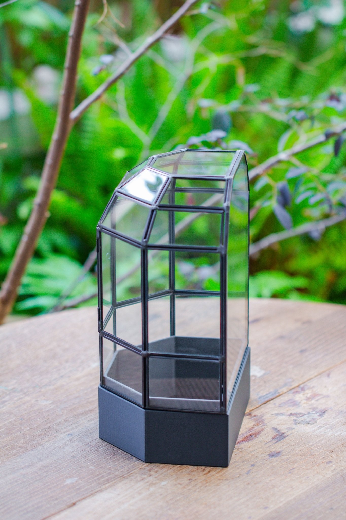 10" Tall Half Dome Glass Terrarium with Water - Holding Base and Door - NCYPgarden