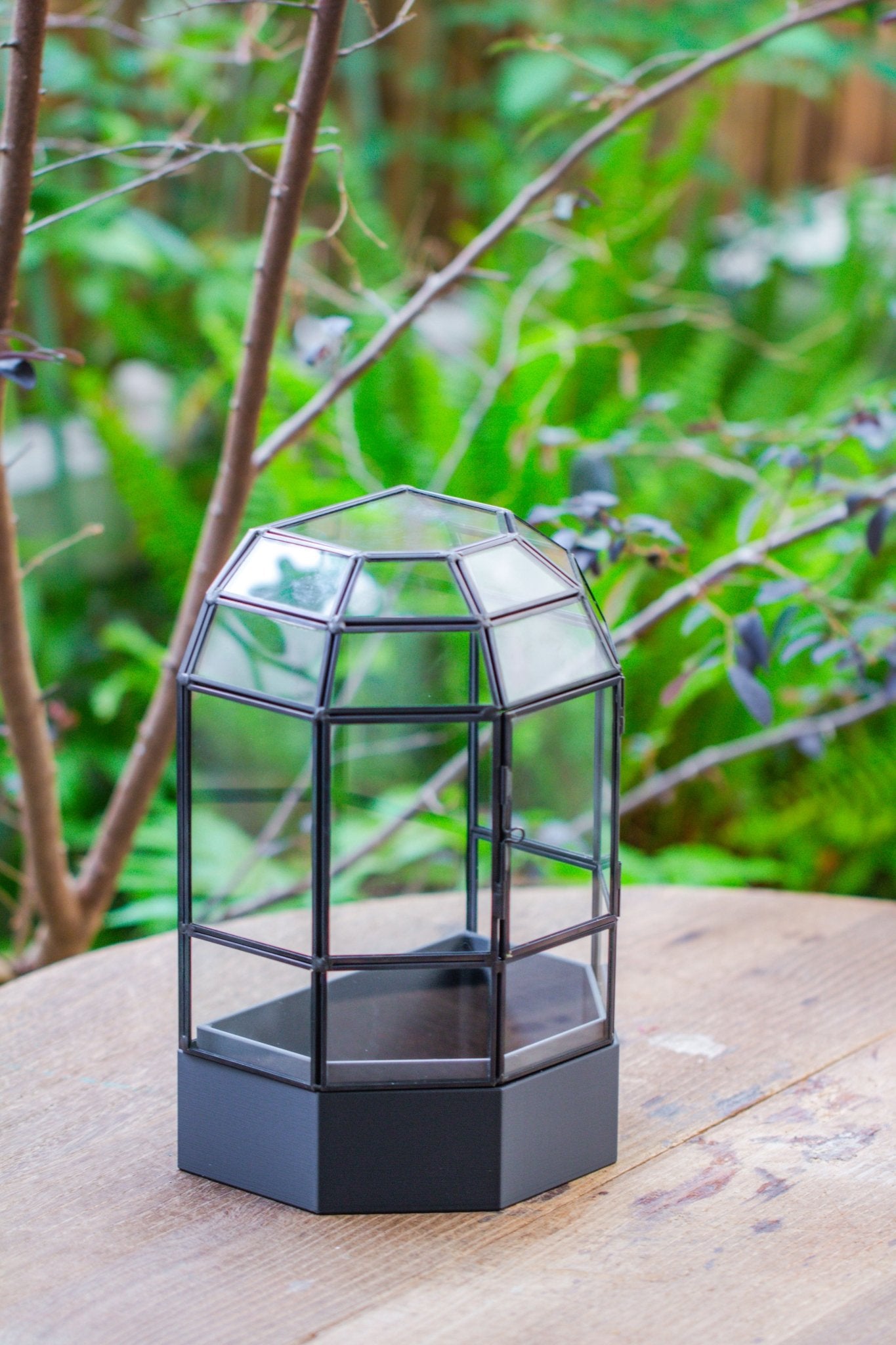 10" Tall Half Dome Glass Terrarium with Water - Holding Base and Door - NCYPgarden