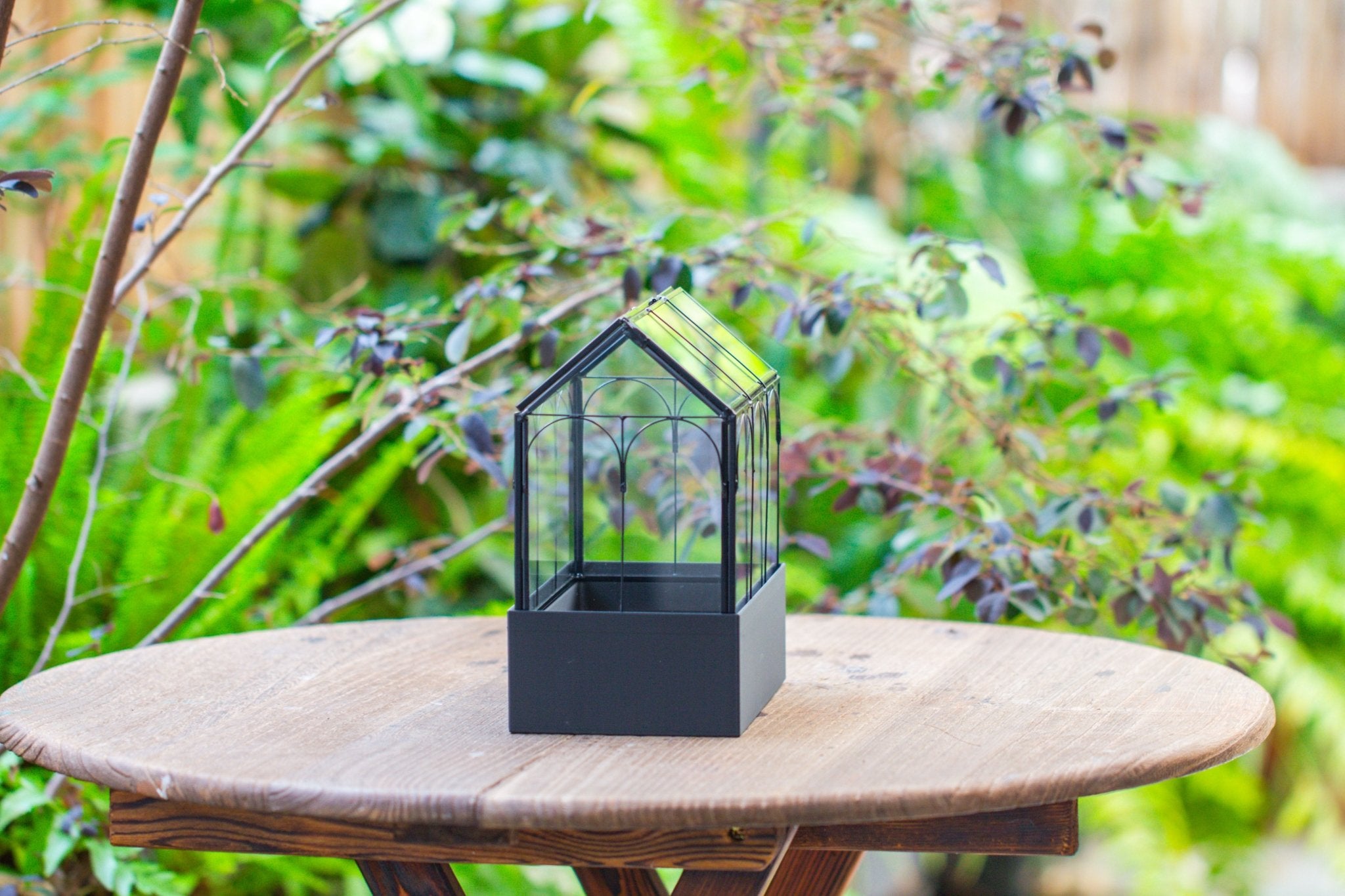 8" Vintage Greenhouse Glass Terrarium with Water - Holding Base and Top Door - NCYPgarden