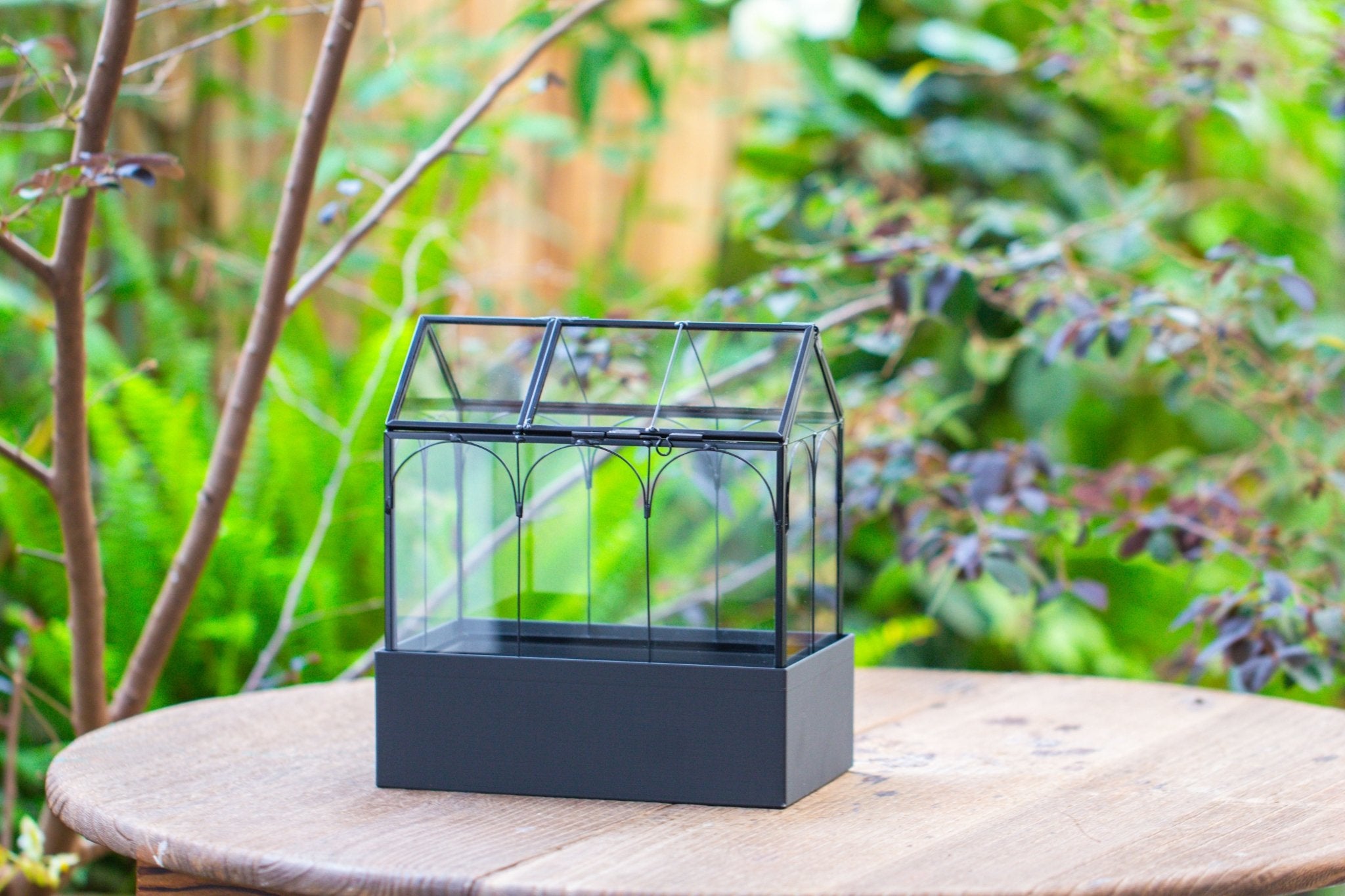 8" Vintage Greenhouse Glass Terrarium with Water - Holding Base and Top Door - NCYPgarden