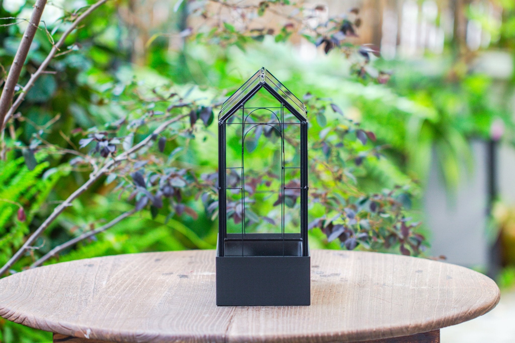 11" Tall Vintage Greenhouse Glass Terrarium with Water - Holding Base and Top Door - NCYPgarden
