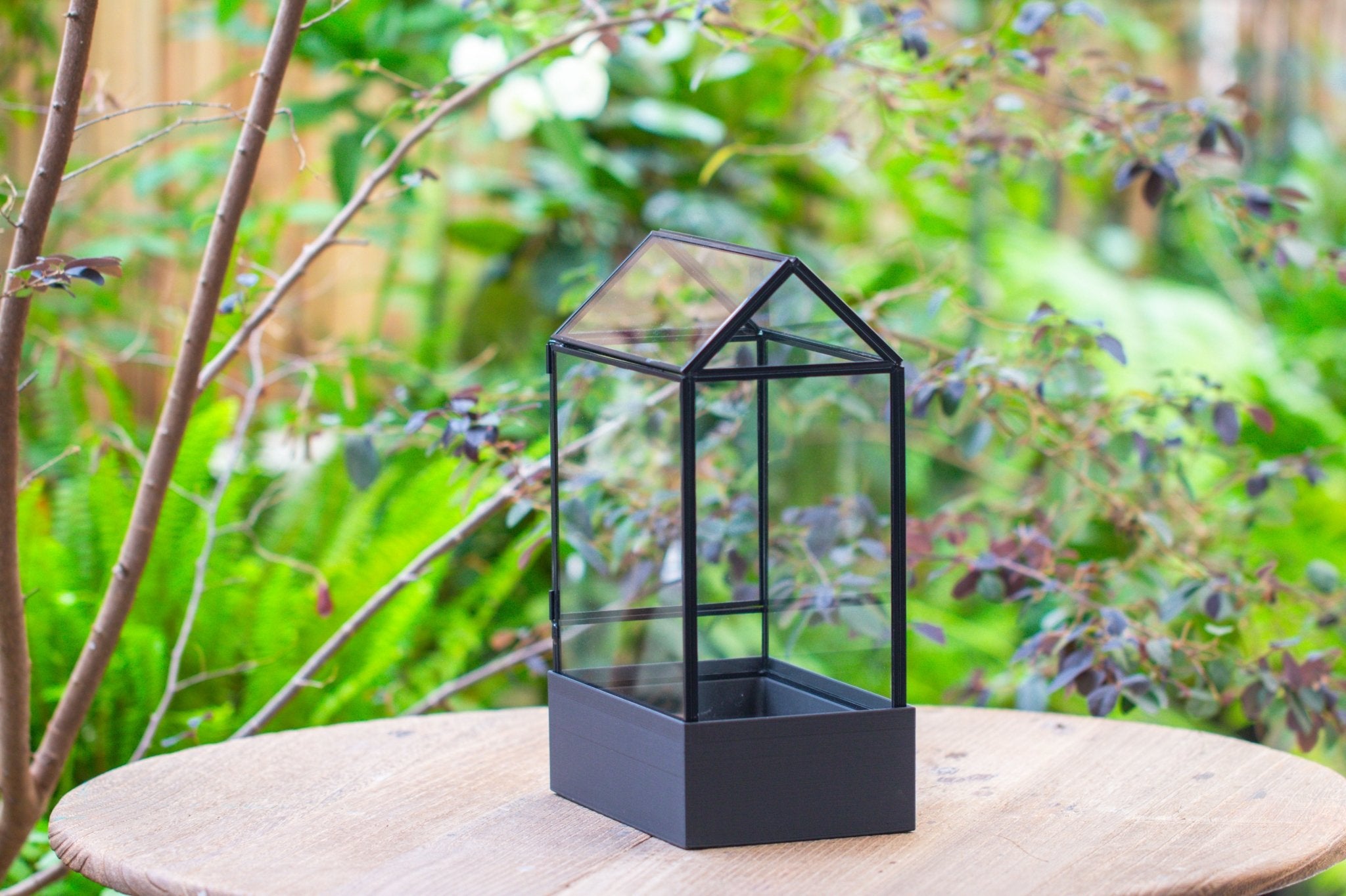 11“ Tall Glass Terrarium with Water - Holding Base and Side Door - NCYPgarden
