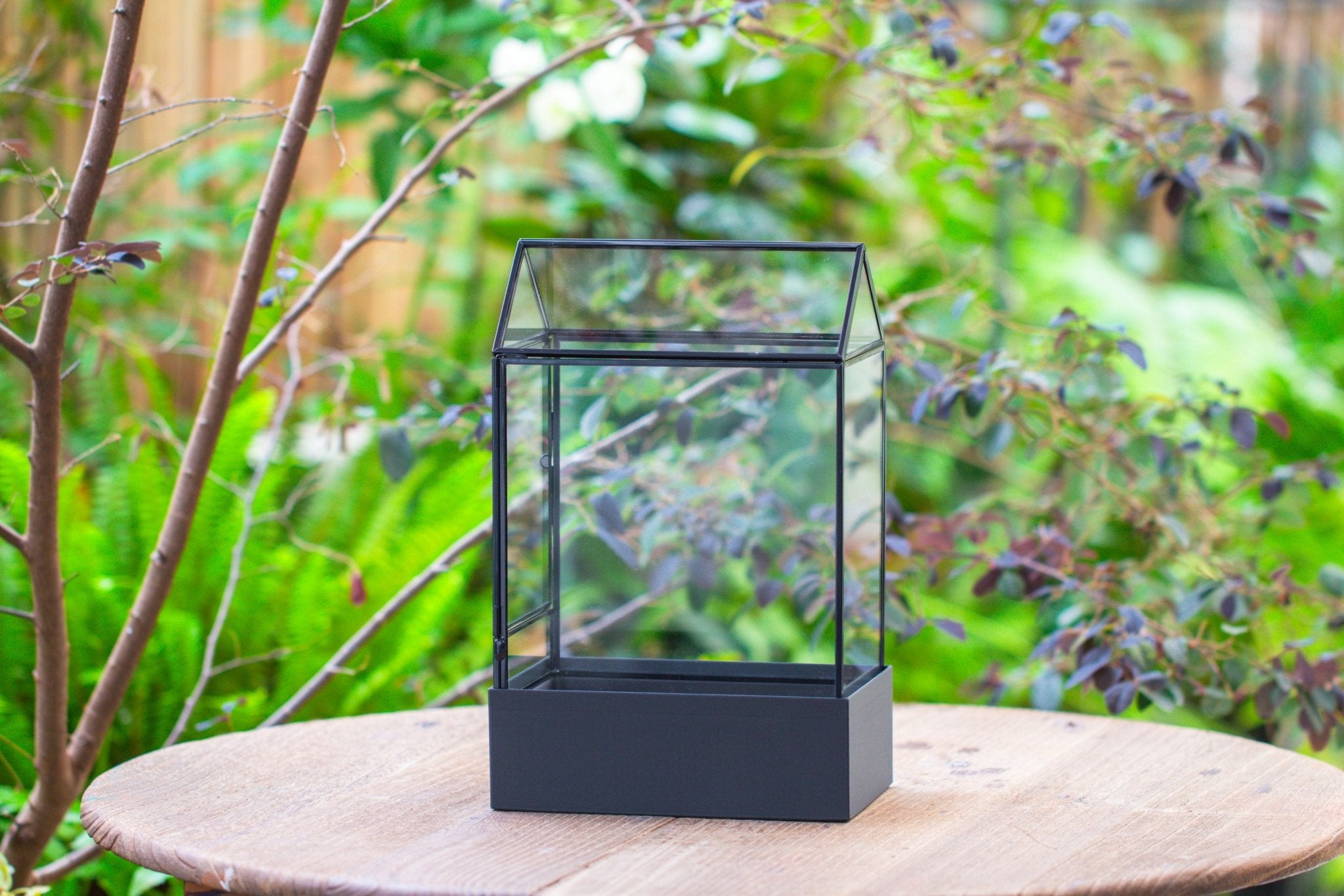 11“ Tall Glass Terrarium with Water - Holding Base and Side Door - NCYPgarden