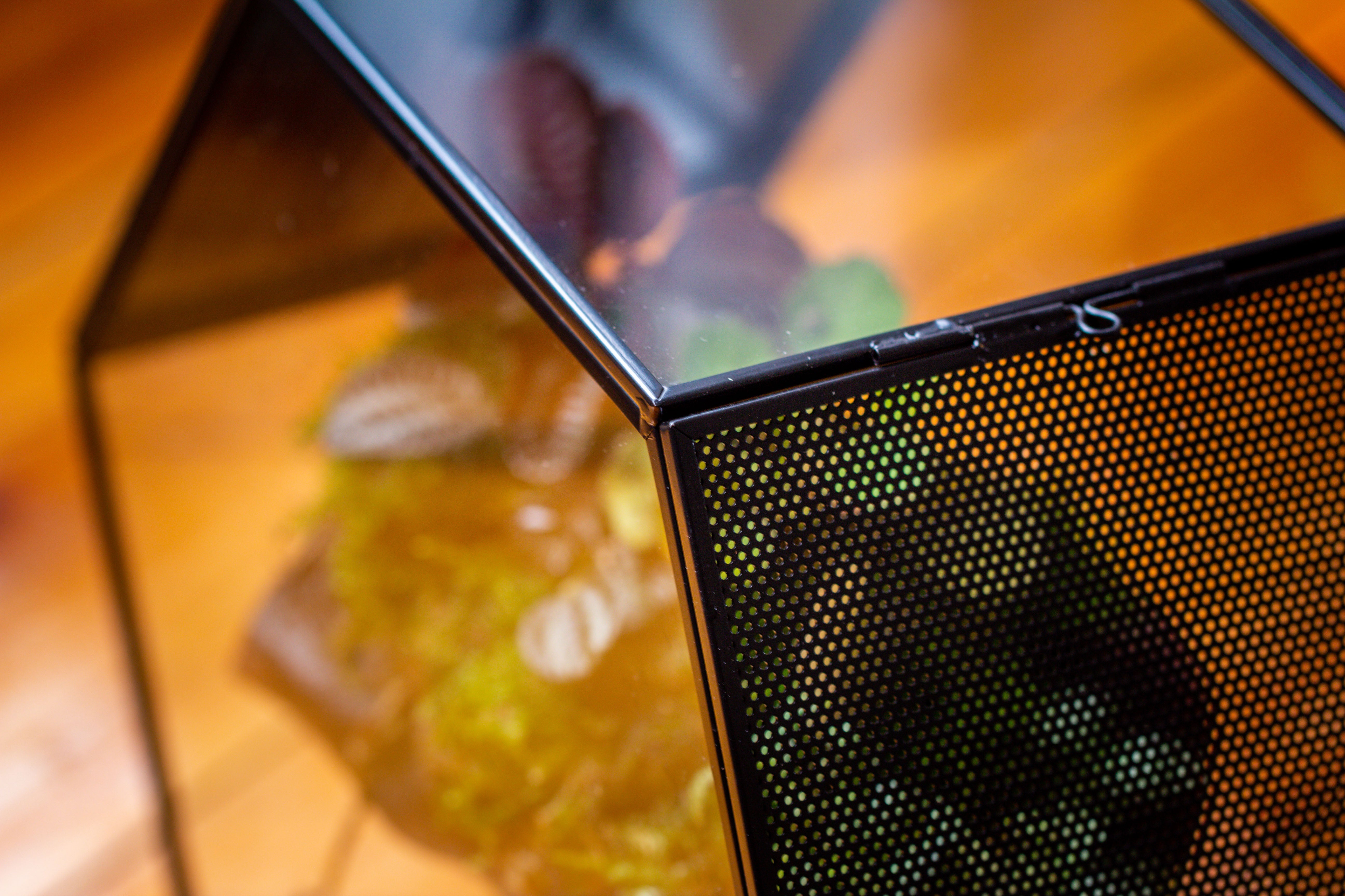 Handmade Hexagon Glass Geometric Terrarium Enclosure with Mesh Vents for Small Insects - NCYPgarden