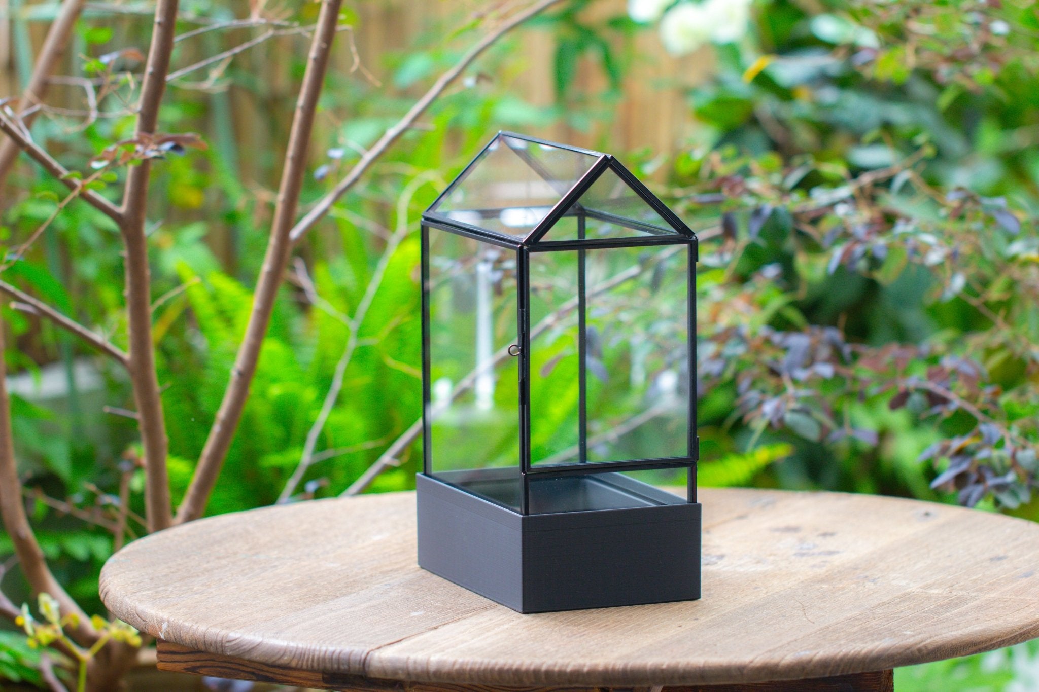 11“ Tall Glass Terrarium with Water - Holding Base and Side Door - NCYPgarden