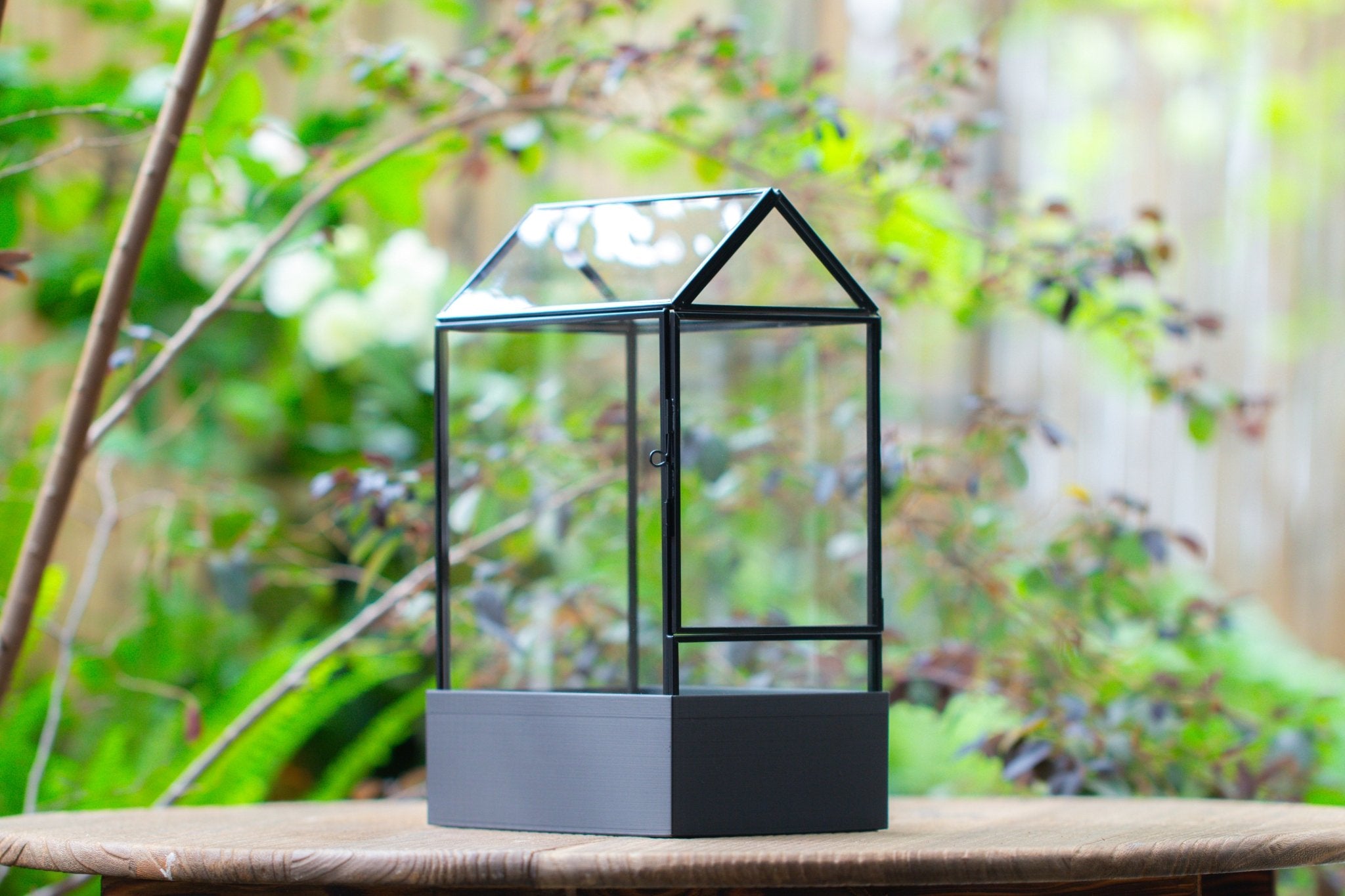 11“ Tall Glass Terrarium with Water - Holding Base and Side Door - NCYPgarden