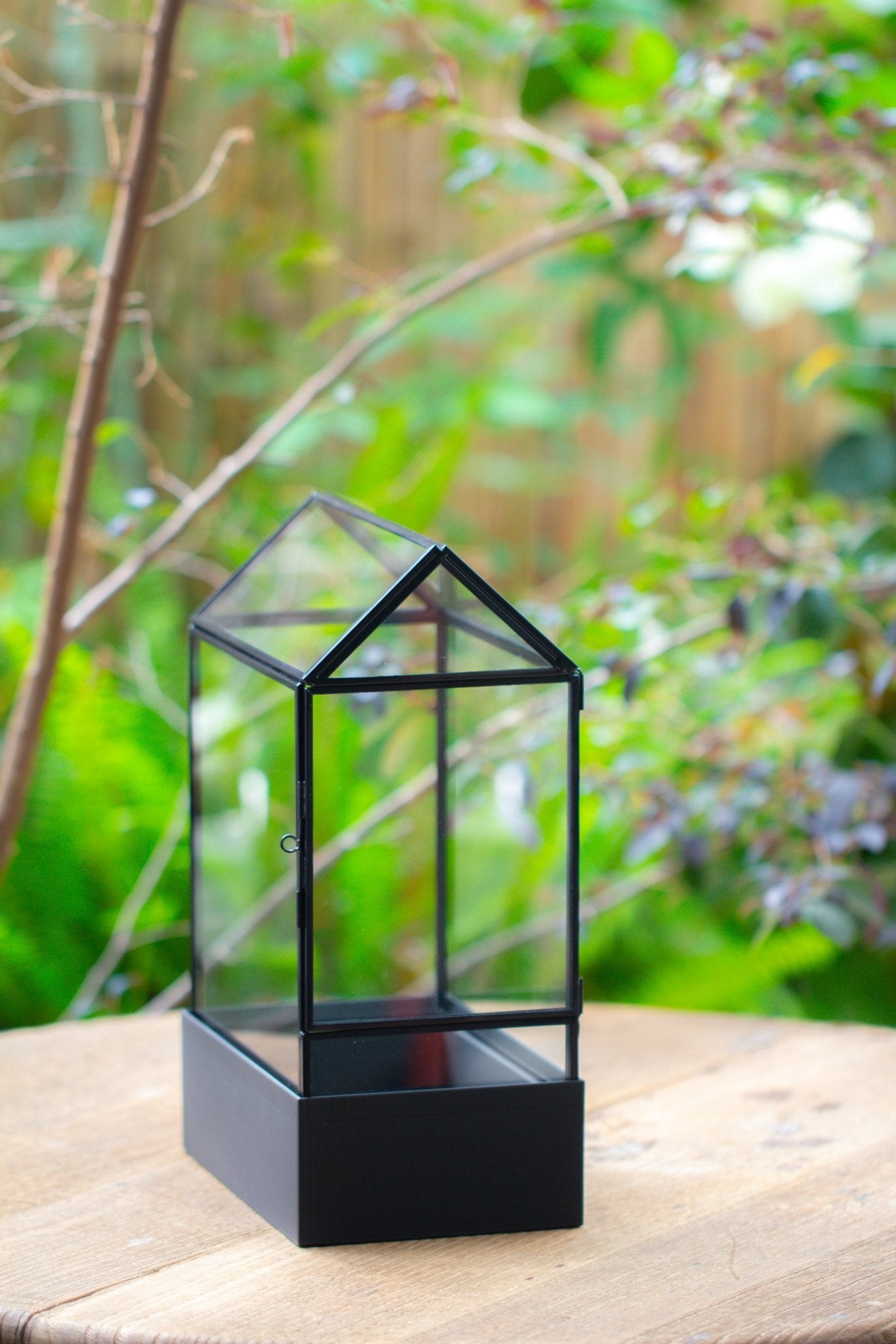 11“ Tall Glass Terrarium with Water - Holding Base and Side Door - NCYPgarden