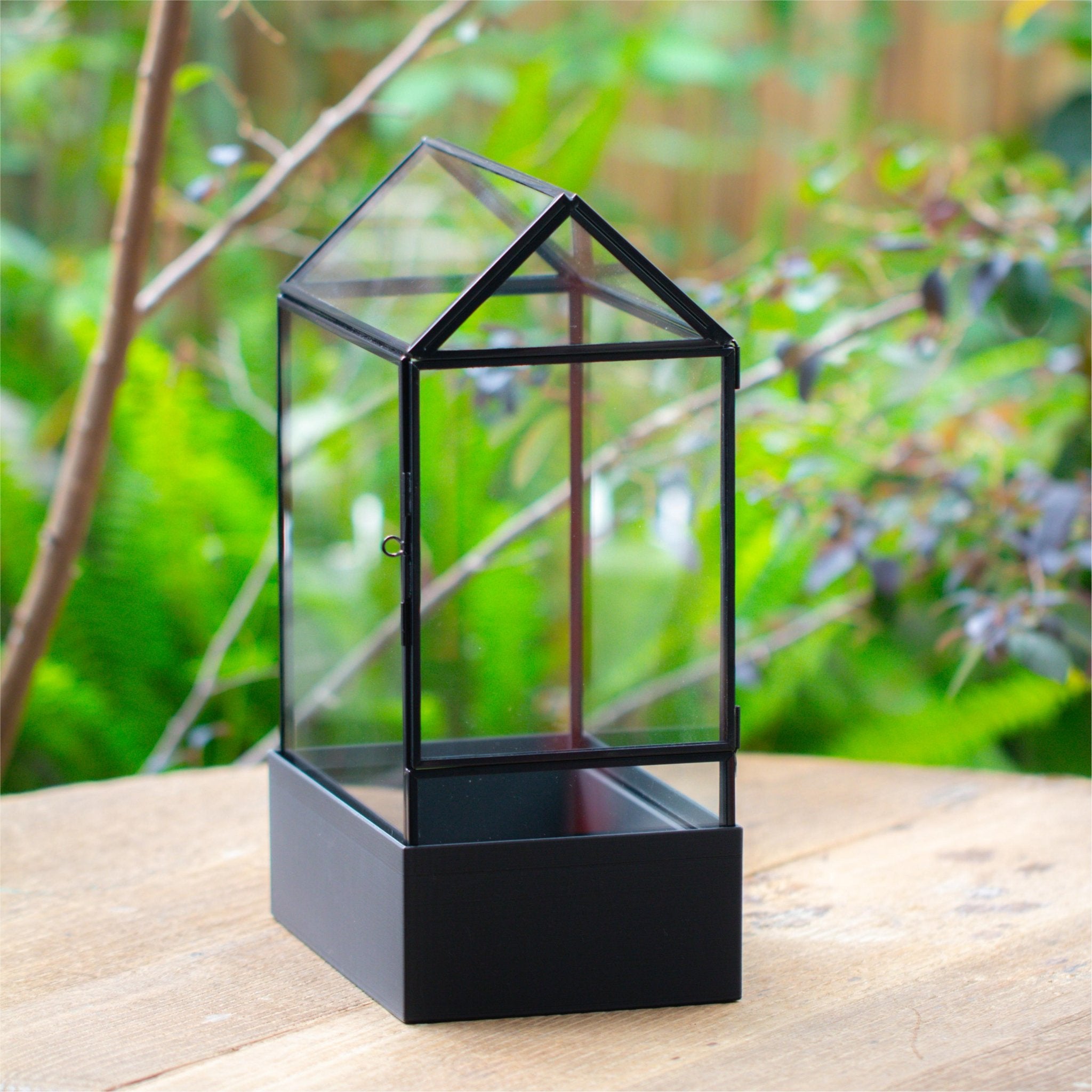 11“ Tall Glass Terrarium with Water - Holding Base and Side Door - NCYPgarden