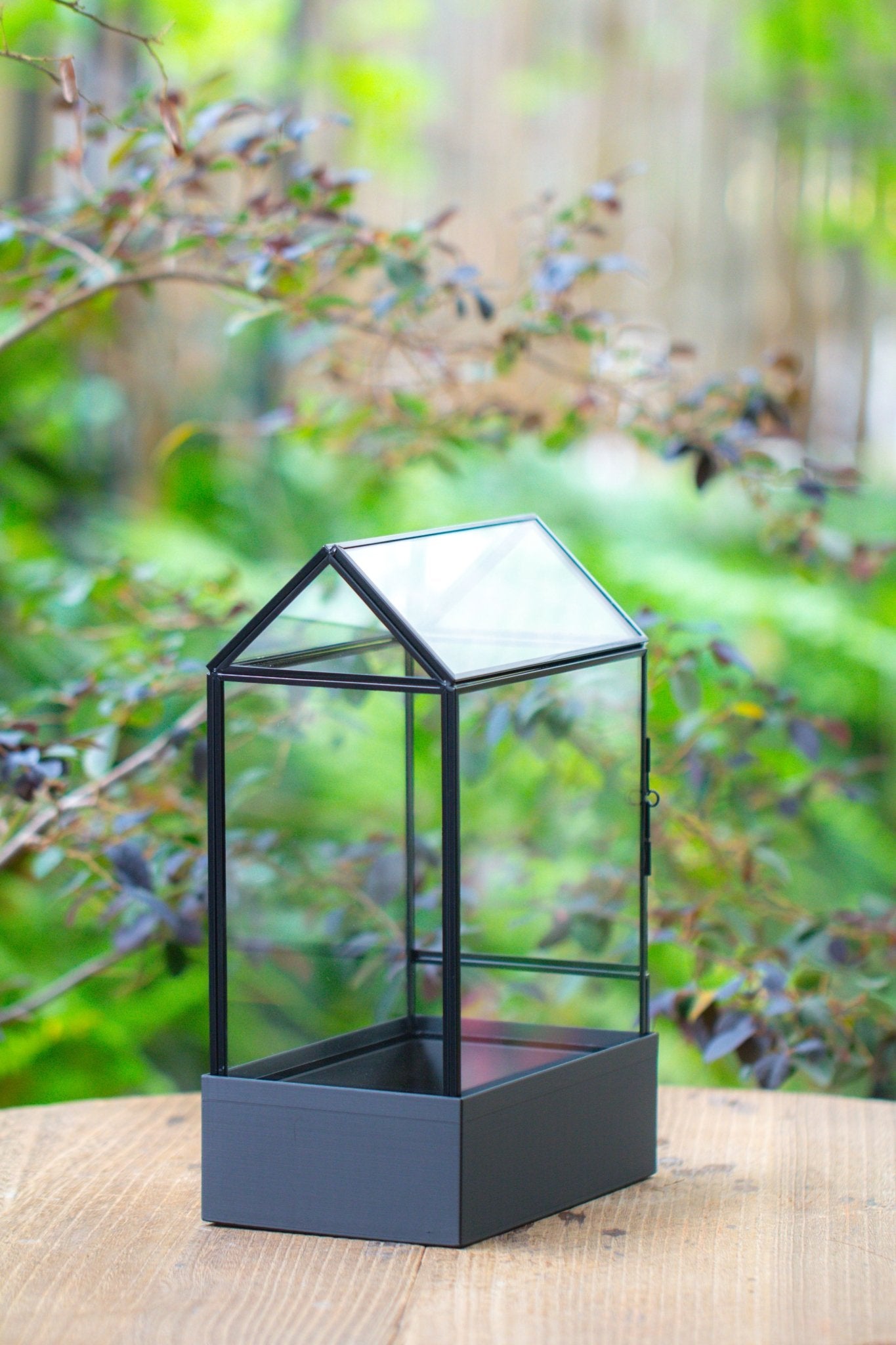 11“ Tall Glass Terrarium with Water - Holding Base and Side Door - NCYPgarden