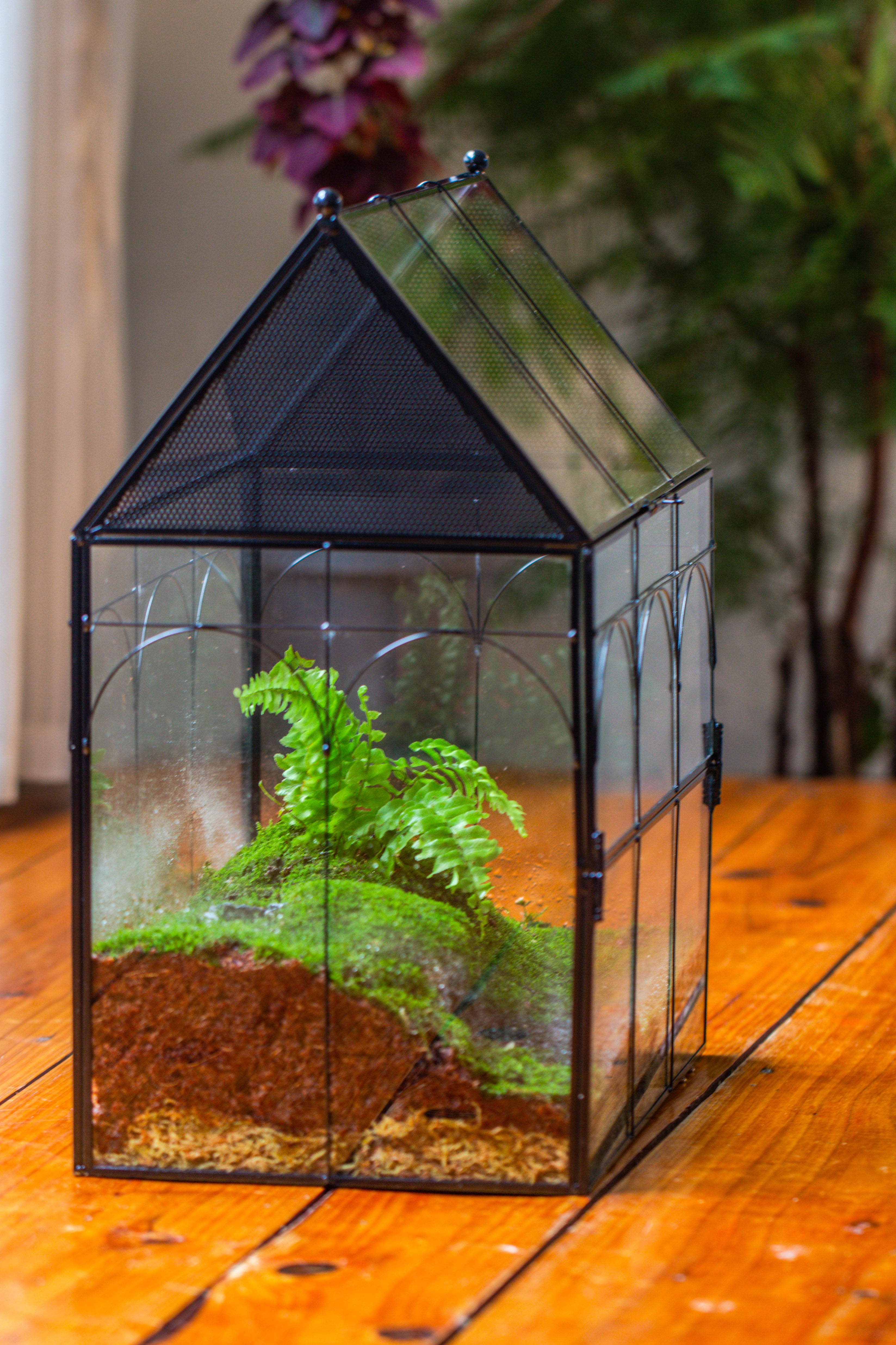 Large Vintage House Shape Insect Terrarium with Vent for Tarantulas, Mantis, Stick Insects -13" - NCYPgarden
