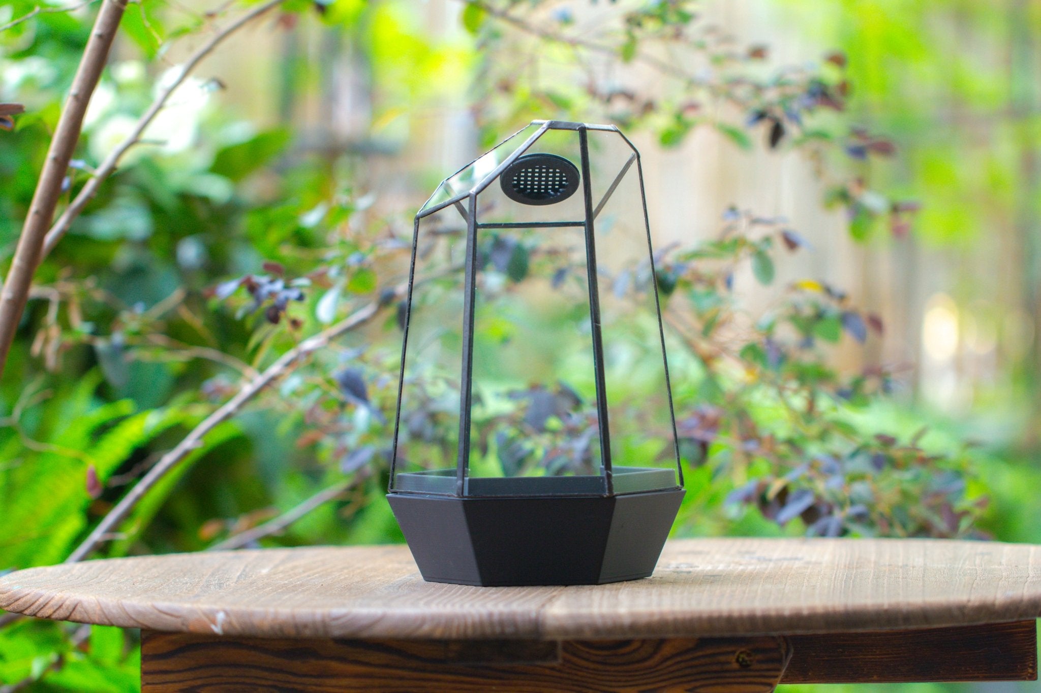 Self - Contained Close Geometric GlassTerrarium with top vent with Waterproof Base, for Moss, Sundew and Venus Flytrap - NCYPgarden