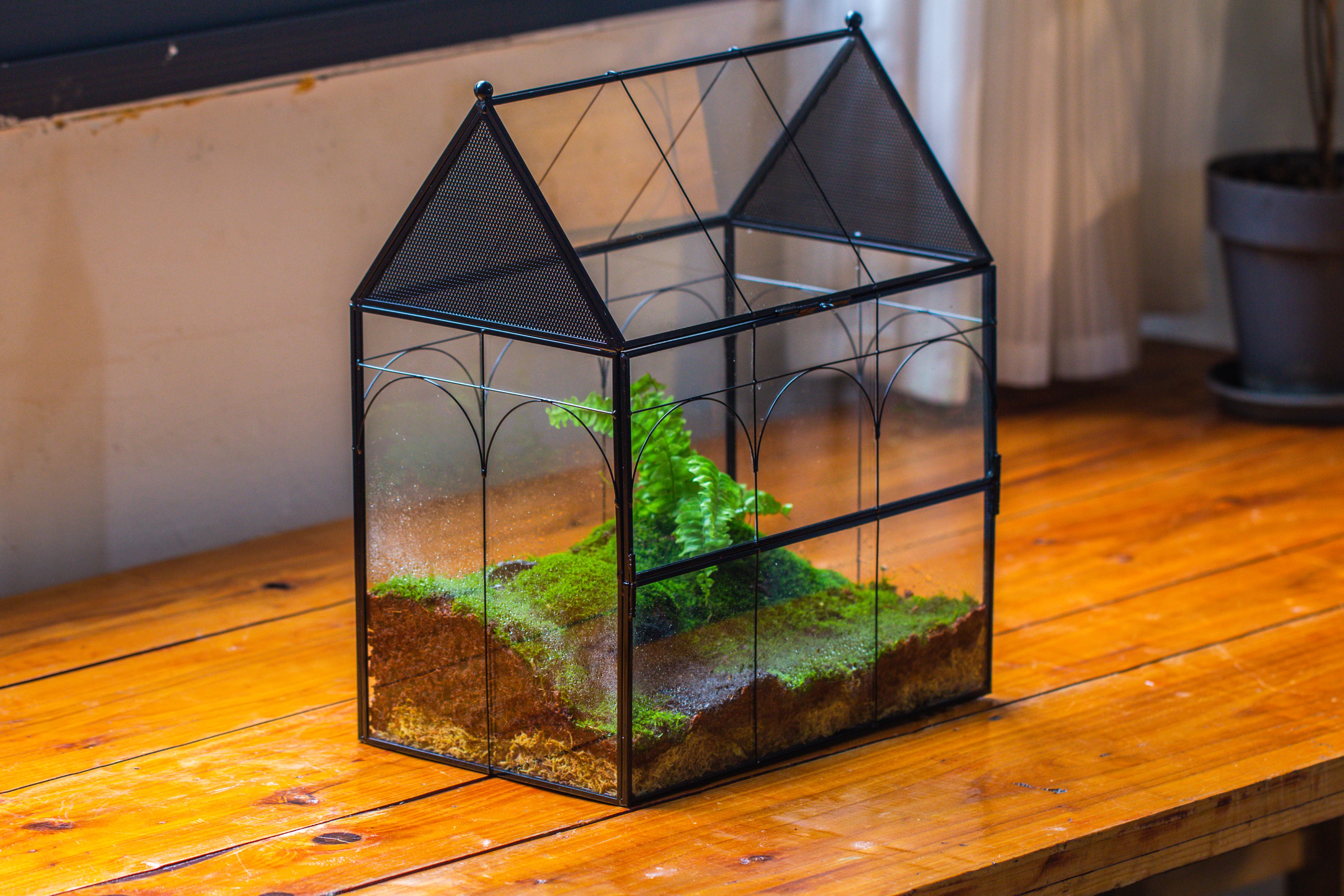 Large Vintage House Shape Insect Terrarium with Vent for Tarantulas, Mantis, Stick Insects -13" - NCYPgarden