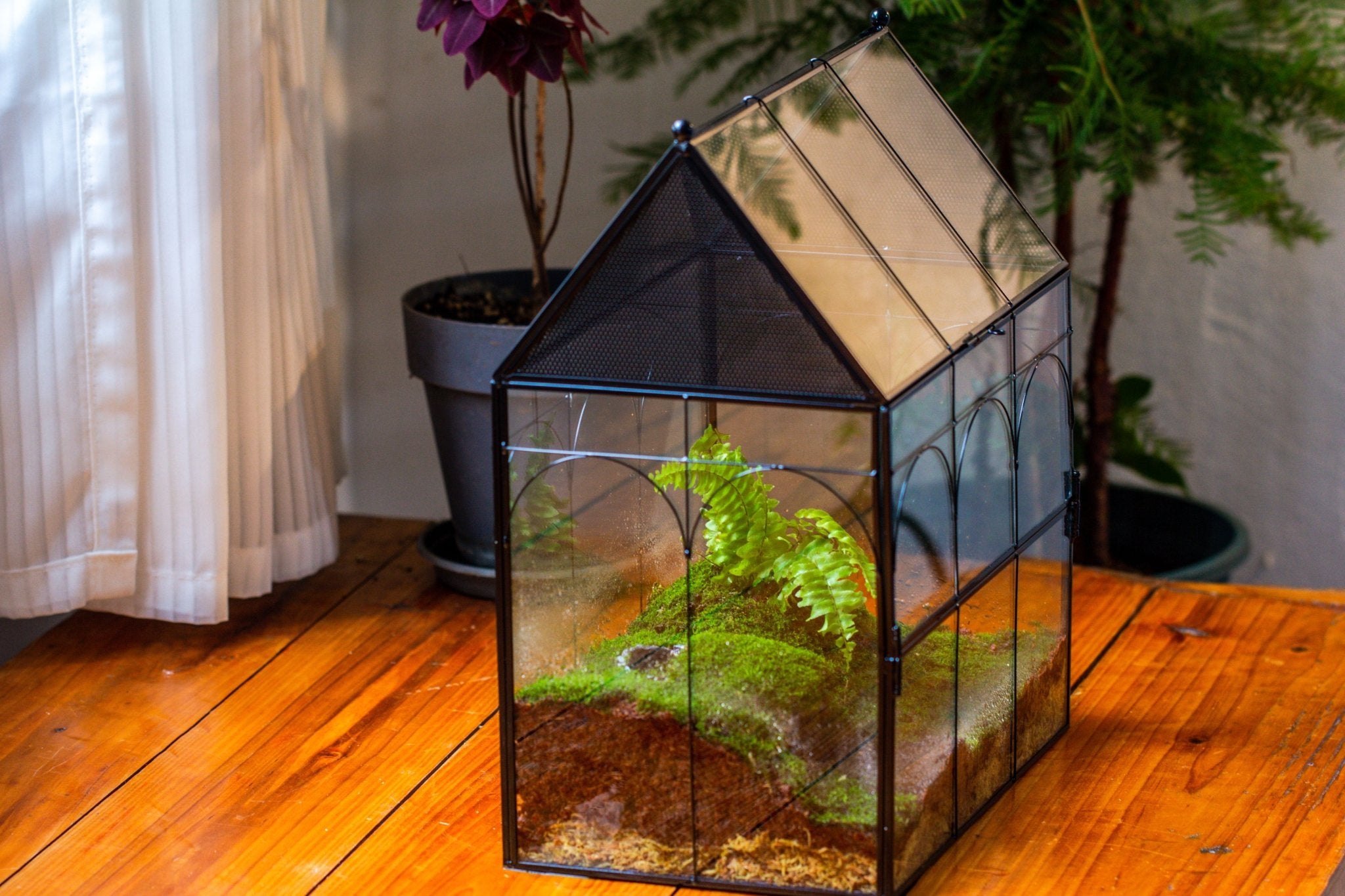 Large Vintage House Shape Insect Terrarium with Vent for Tarantulas, M ...