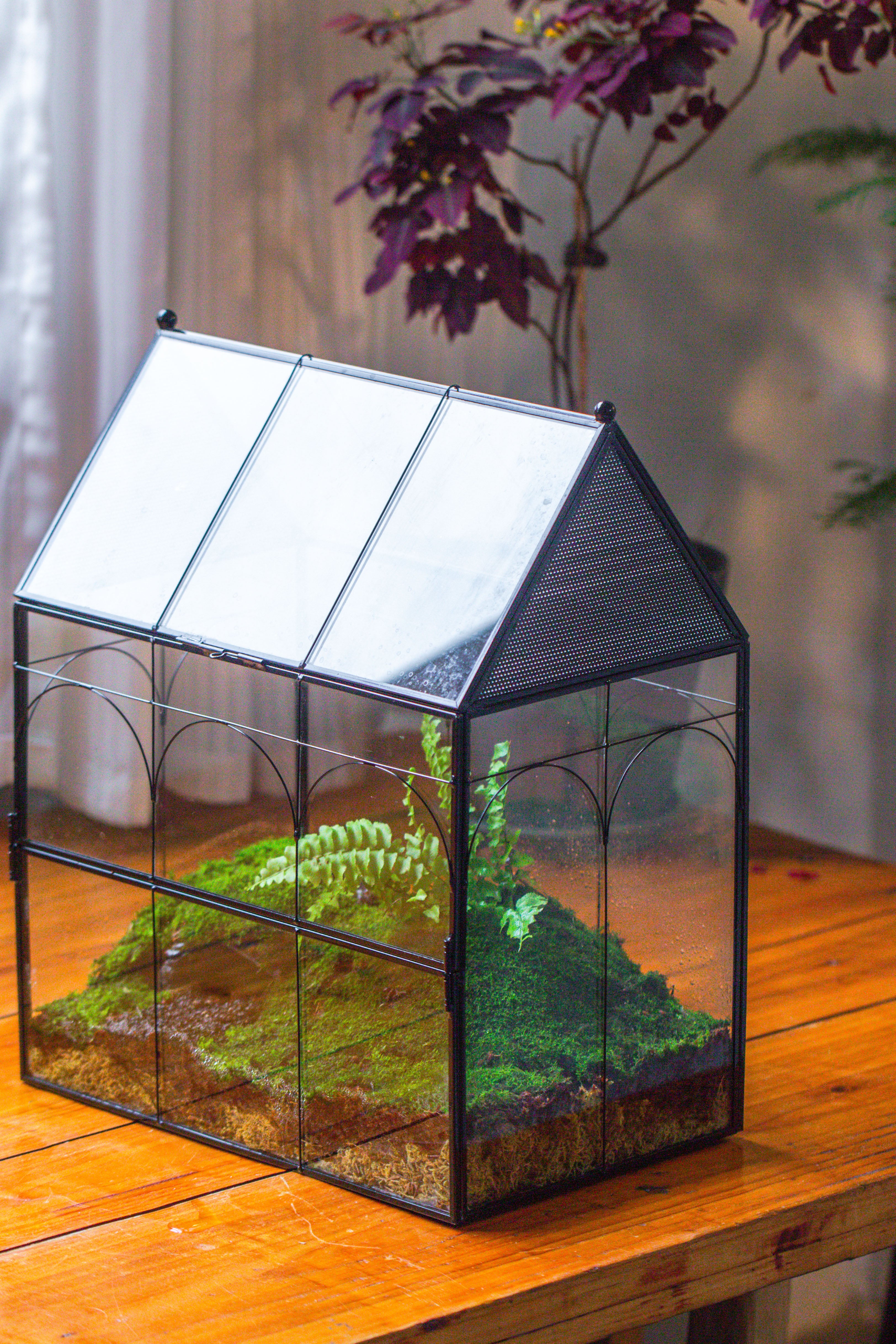 Large Vintage House Shape Insect Terrarium with Vent for Tarantulas, Mantis, Stick Insects -13" - NCYPgarden