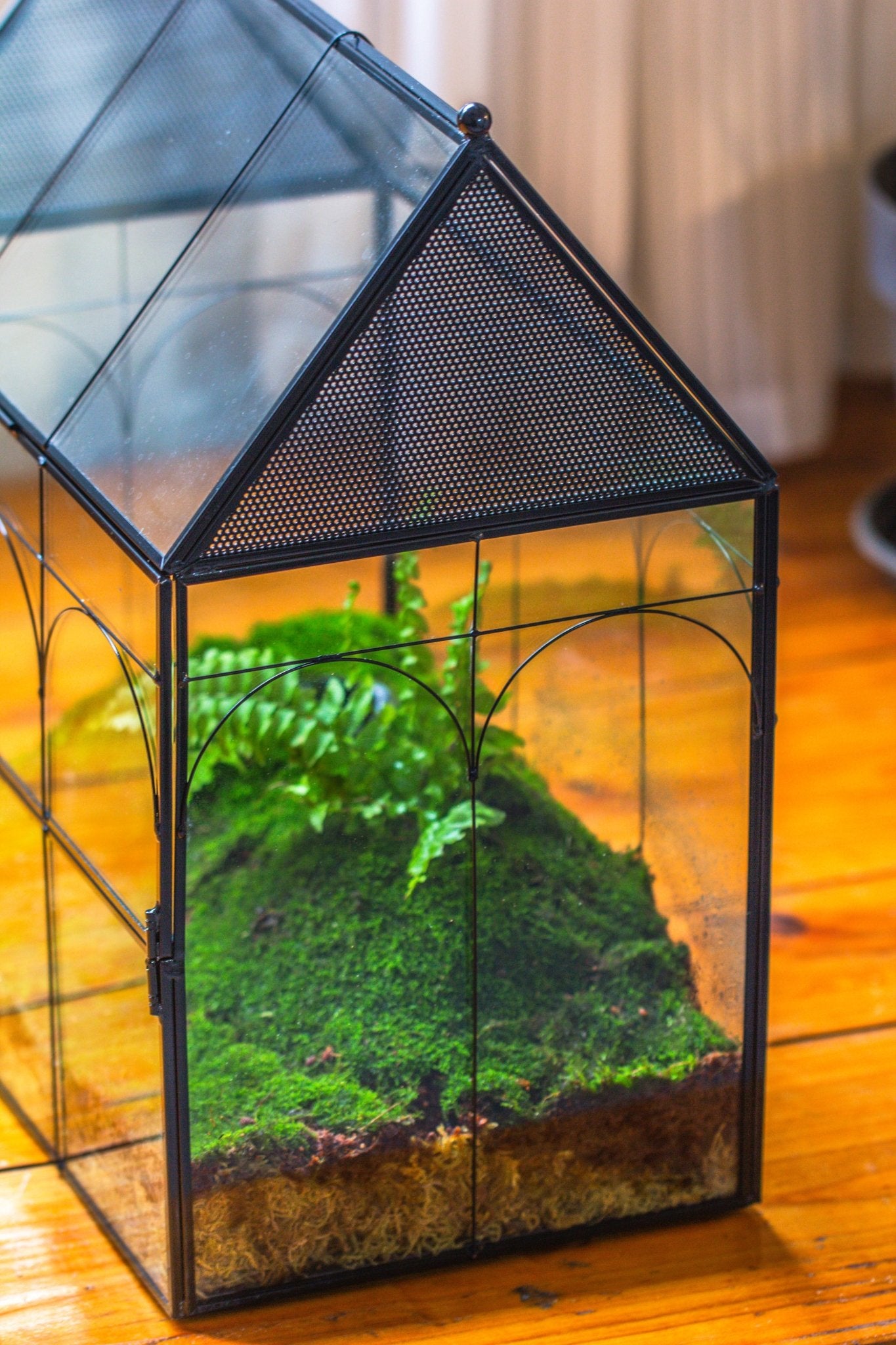 Large Vintage House Shape Insect Terrarium with Vent for Tarantulas, M ...