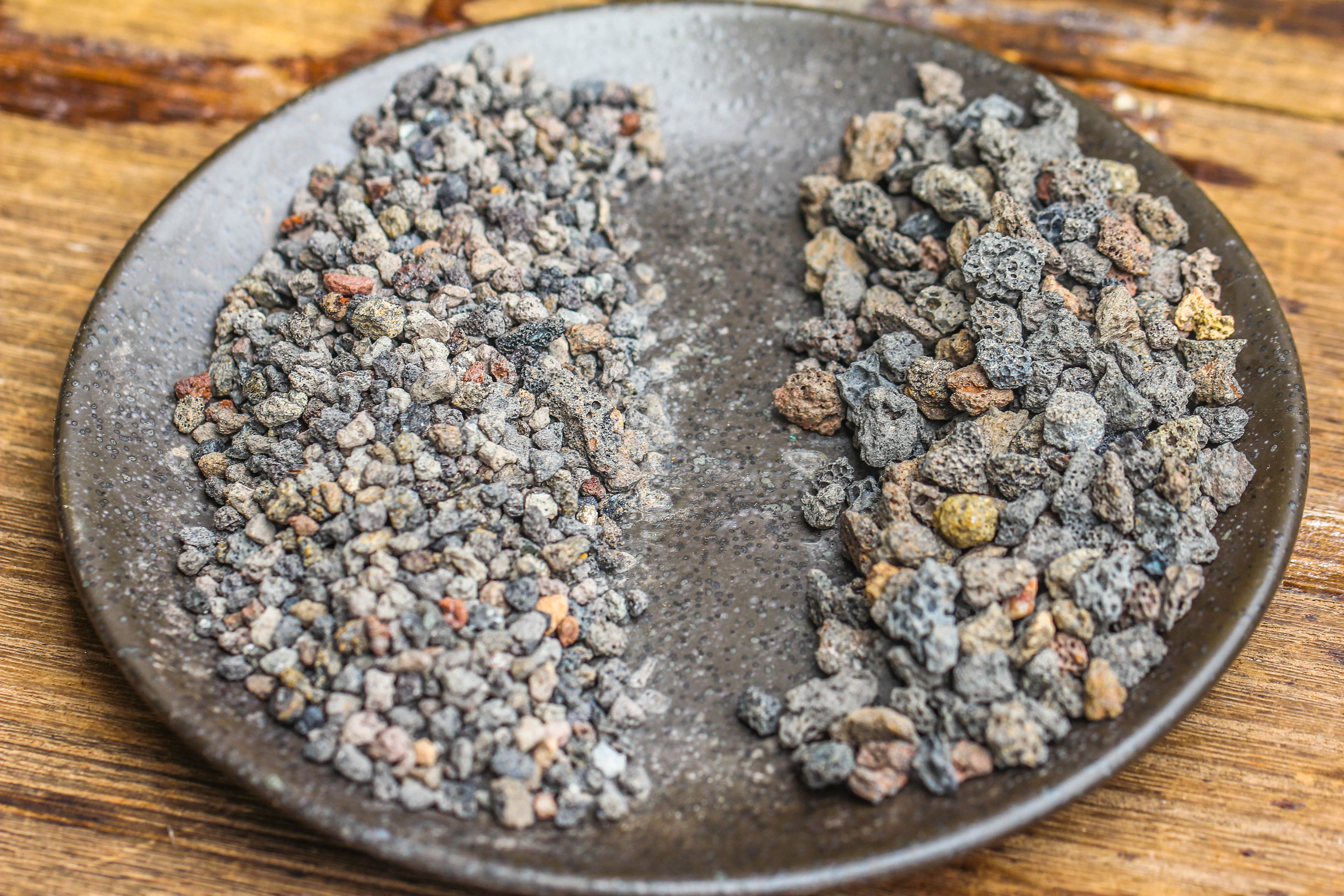 Porous Black Horticultural Lava Rocks, for terrarium drainage control, the bottom layer of the moss terrarium - NCYPgarden