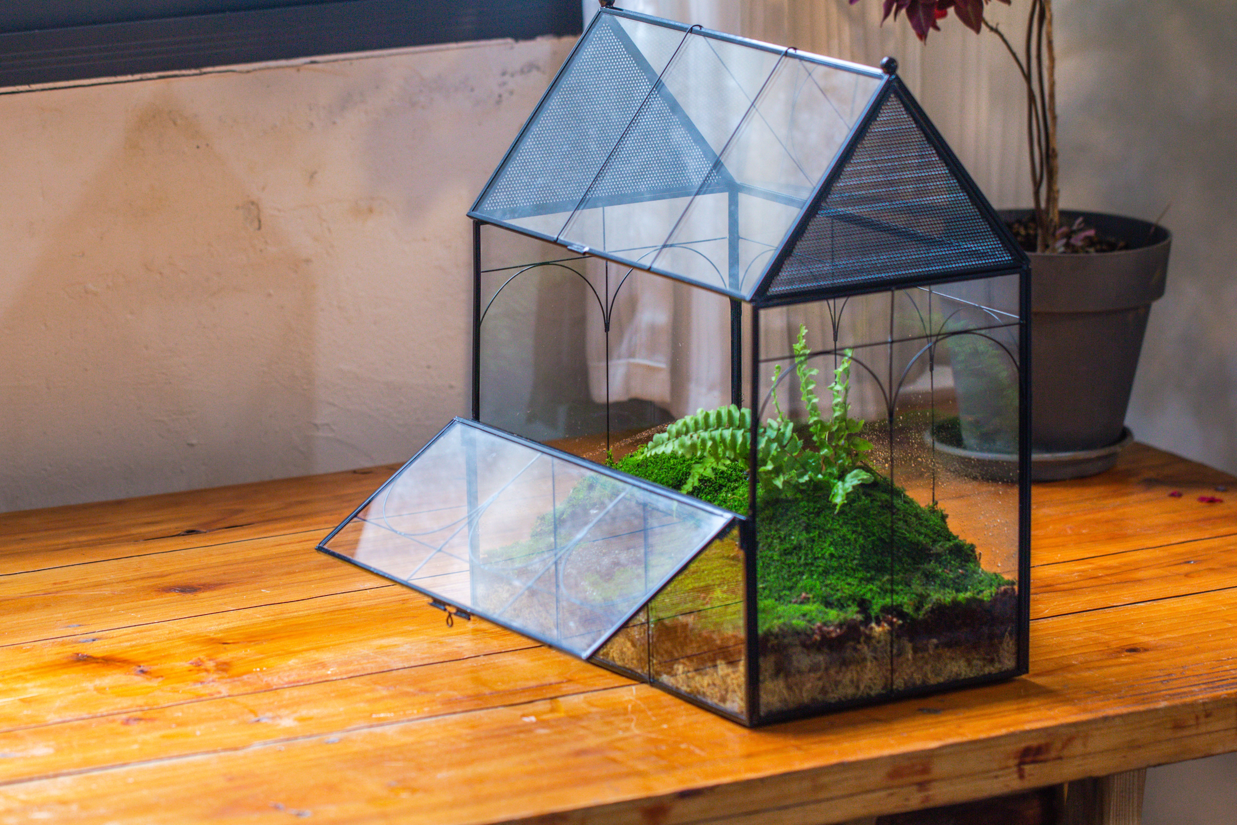 Large Vintage House Shape Insect Terrarium with Vent for Tarantulas, Mantis, Stick Insects -13" - NCYPgarden
