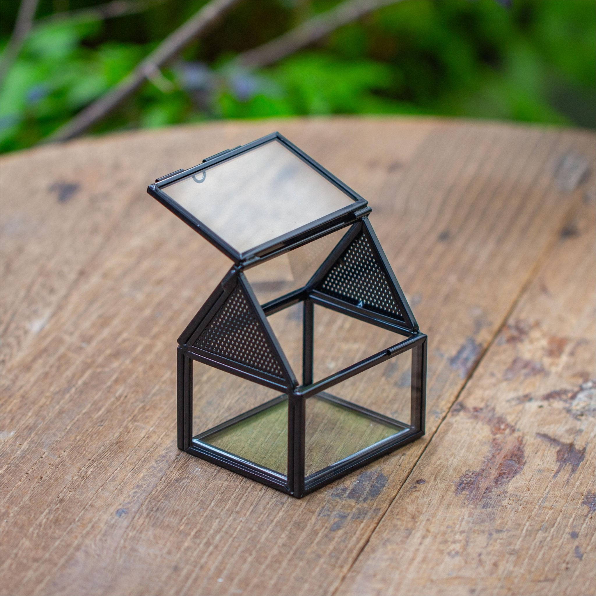 custommade order for LaLa, 3 enclosures - NCYPgarden